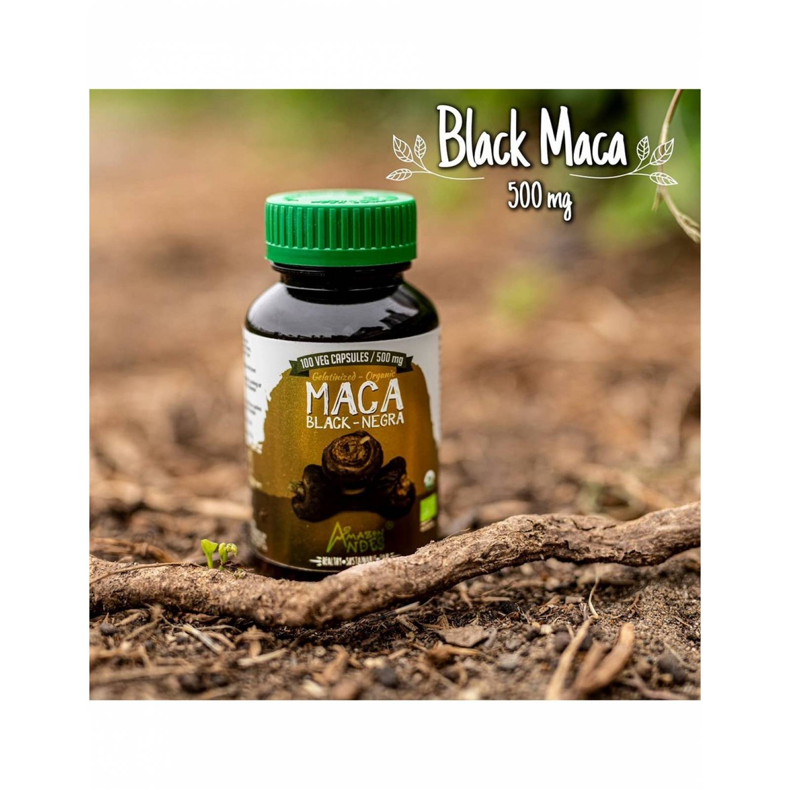 Maca Negra Orgánica en Cápsulas (original de Perú)