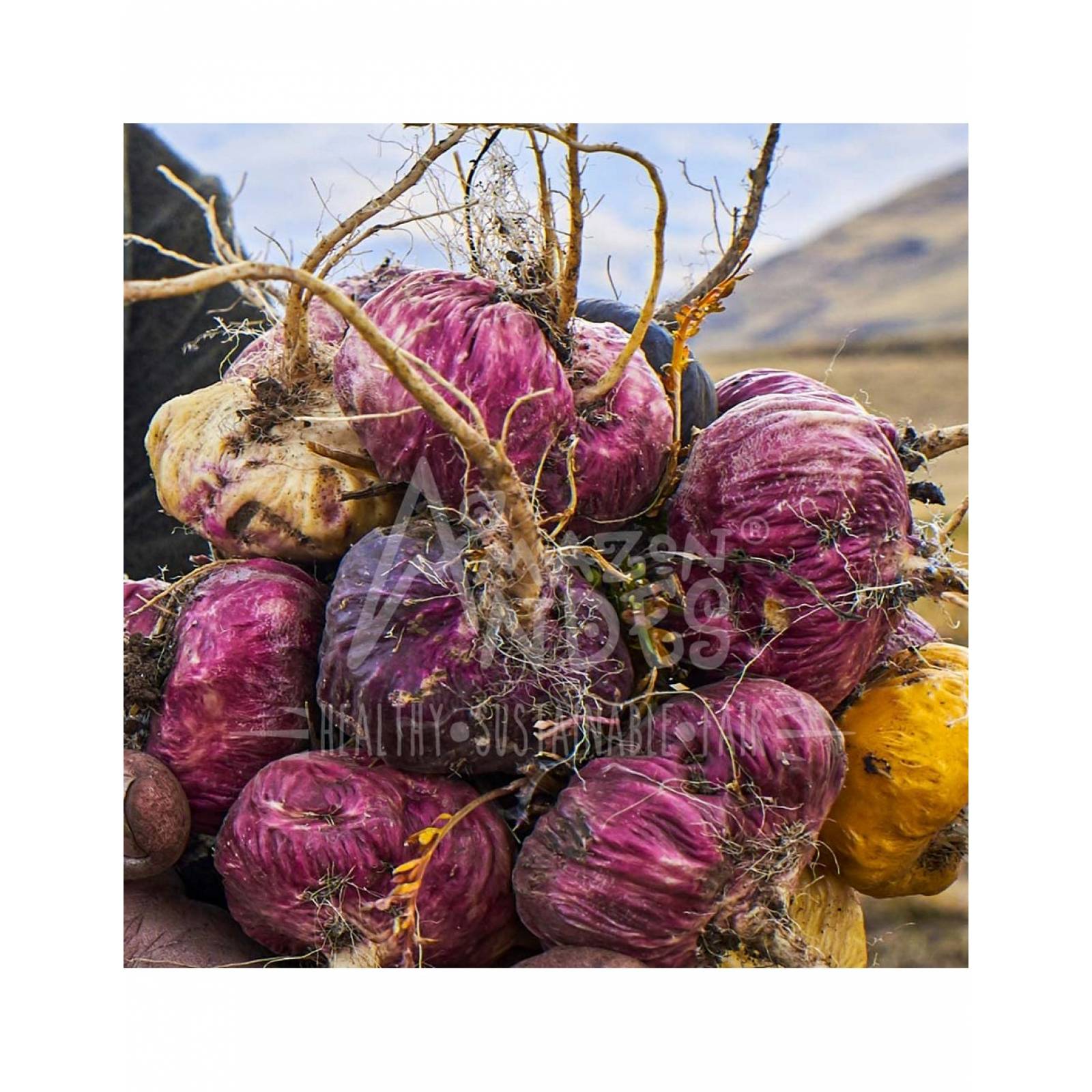 Aguaje y  Maca Roja en Cápsulas (100 Caps X 500 Mg)  2 Unidades