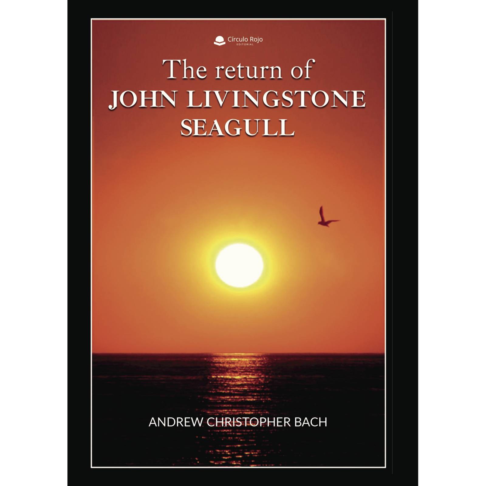 The return of John Livingstone Seagull