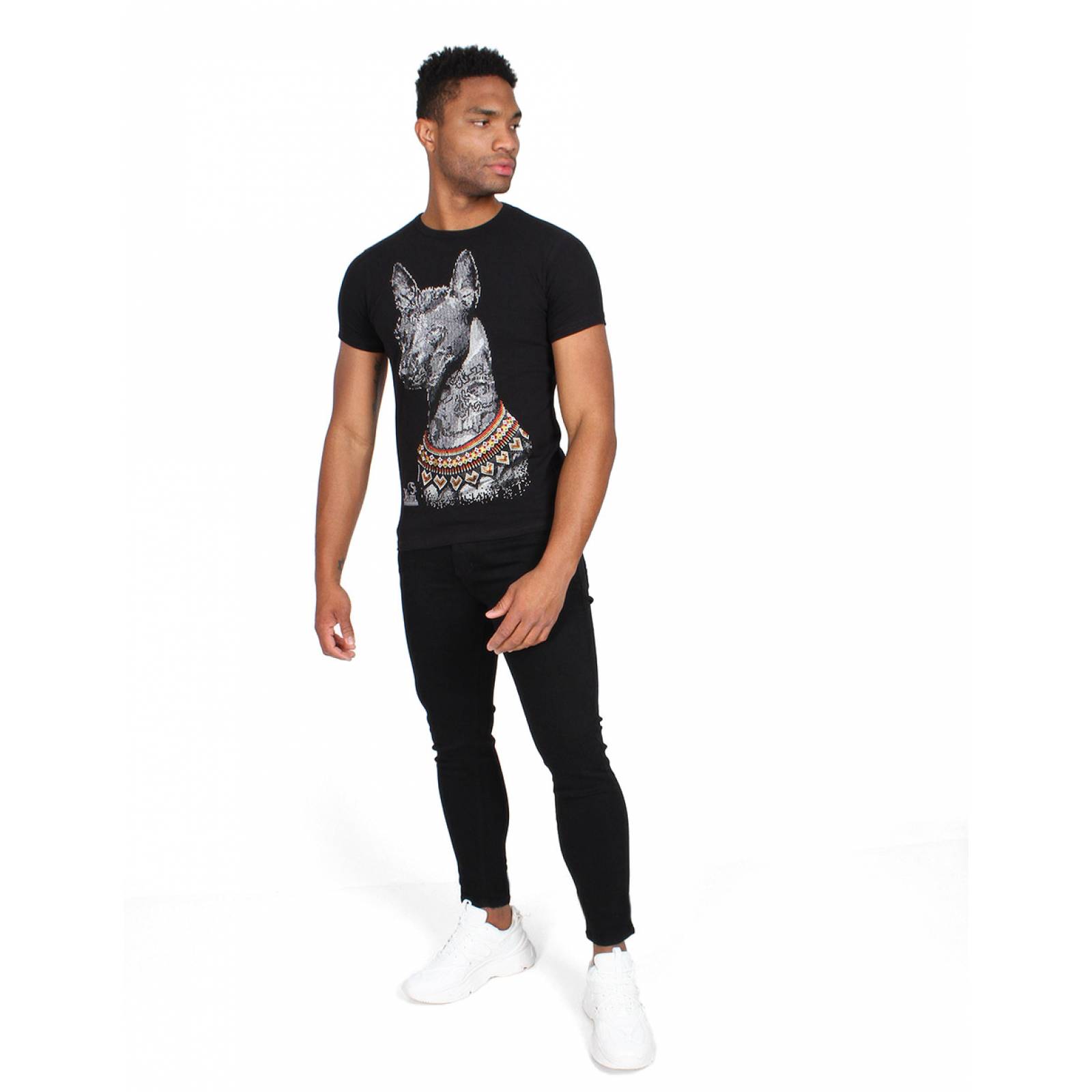 Playera Xoloitzcuintle Huichol en Estoperol, Sr. Xólotl Mx para Caballero.