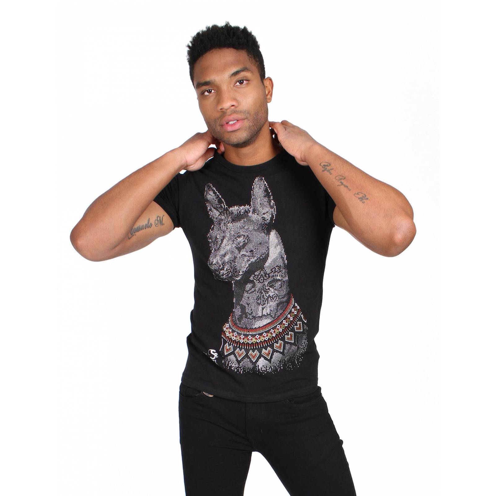 Playera Xoloitzcuintle Huichol en Estoperol, Sr. Xólotl Mx para Caballero.