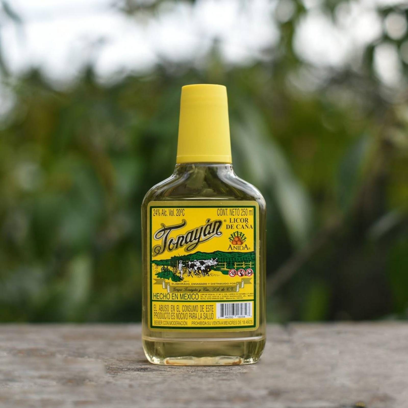 Pack de 6 Licor De Caña Tonayan Pet Amarillo 250 ml 