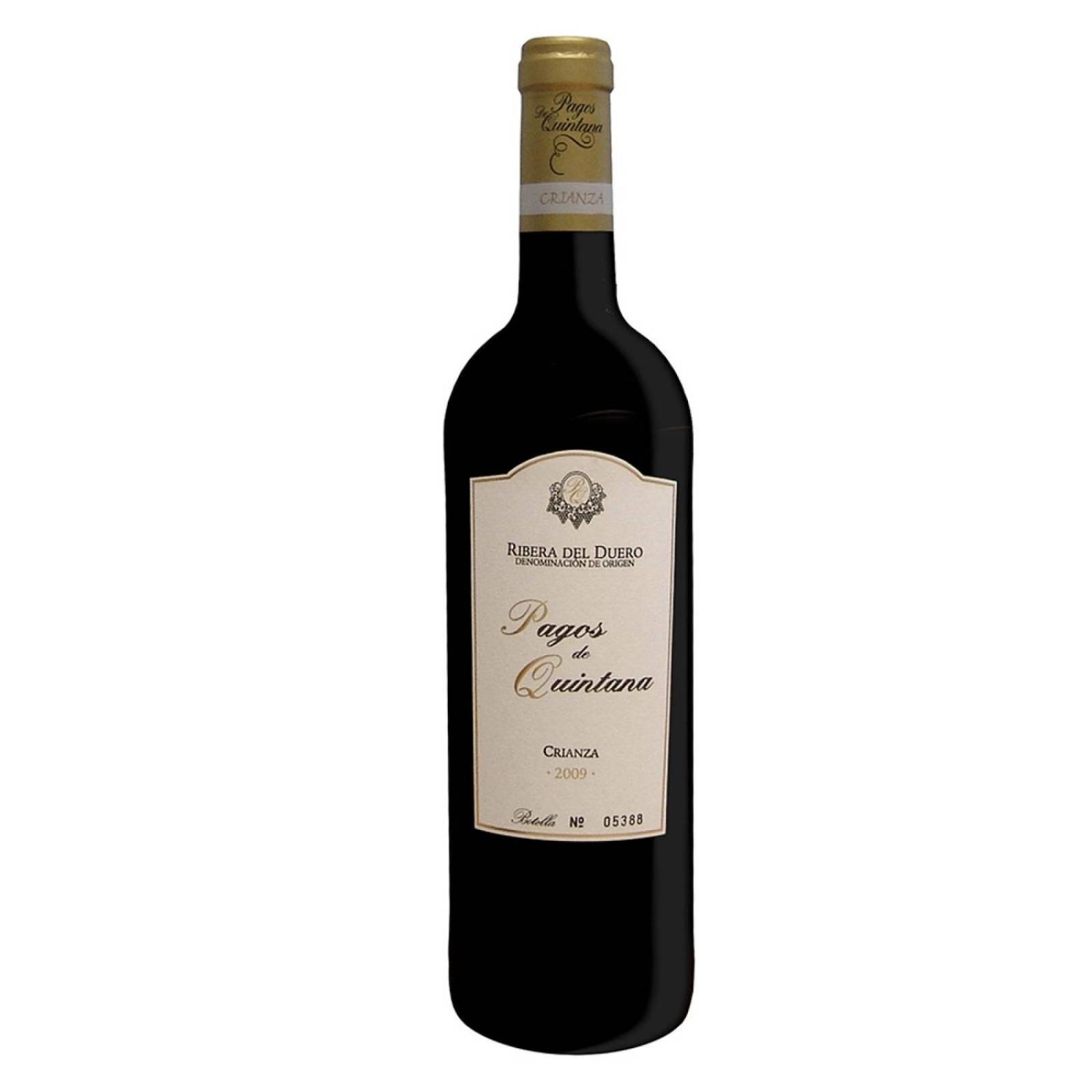 Pack de 6 Vino Tinto Pagos De Quintana Crianza 750 ml 