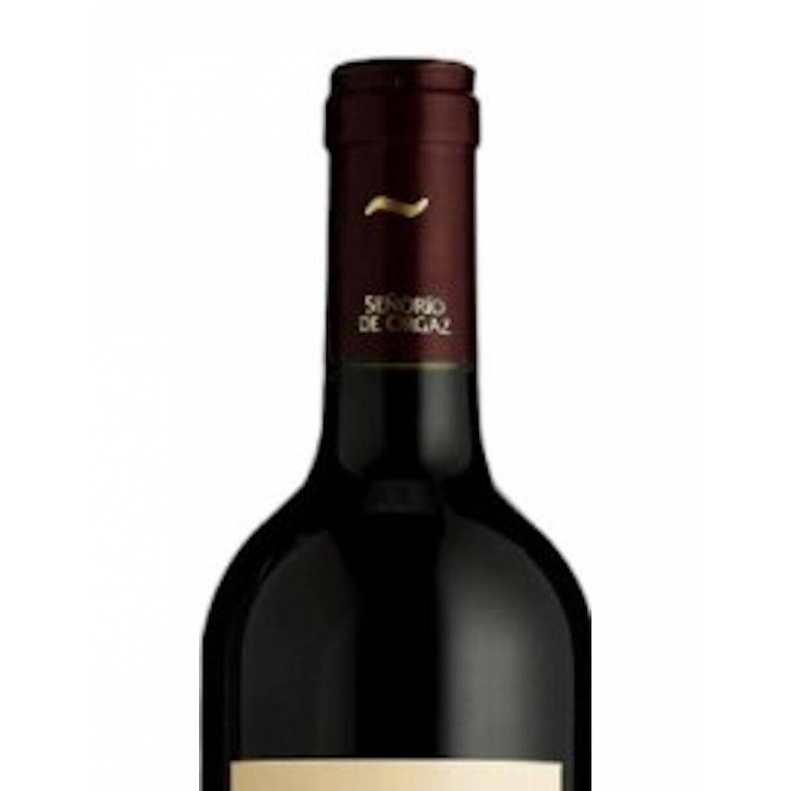 Vino Tinto Siglo Edición Gascon Tempranillo 750 ml 