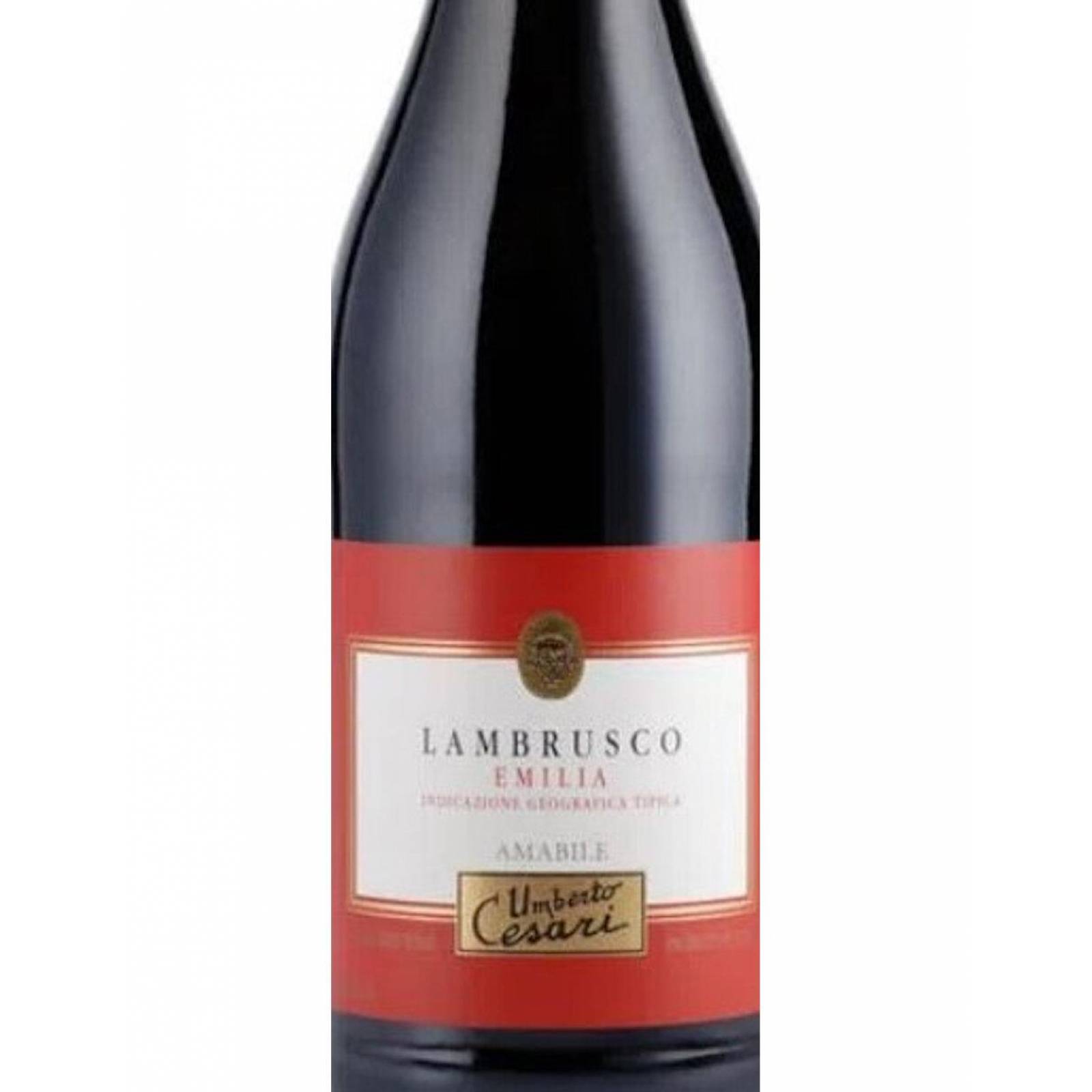 Vino Tinto Lambrusco Emilia 750 Ml