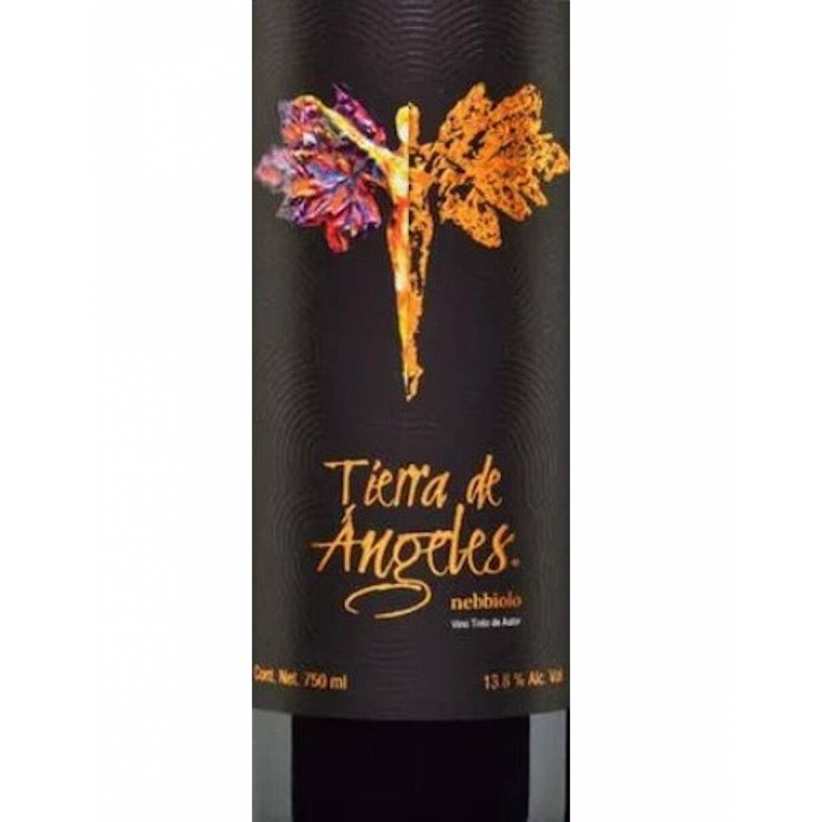 Vino Tinto Tierra De Angeles Nebbiolo 750 ml 