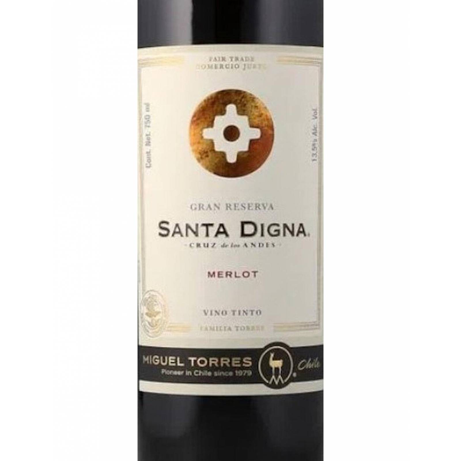 Vino Tinto Santa Digna Gran Reserva Merlot 750 ml 