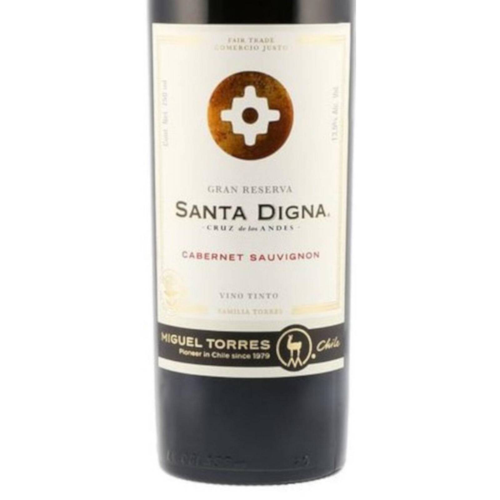 Vino Tinto Santa Digna Cabernet Gran Rva. 750 ml 