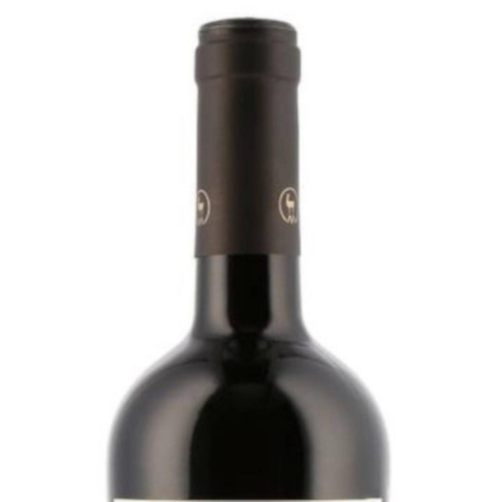 Vino Tinto Santa Digna Cabernet Gran Rva. 750 ml 