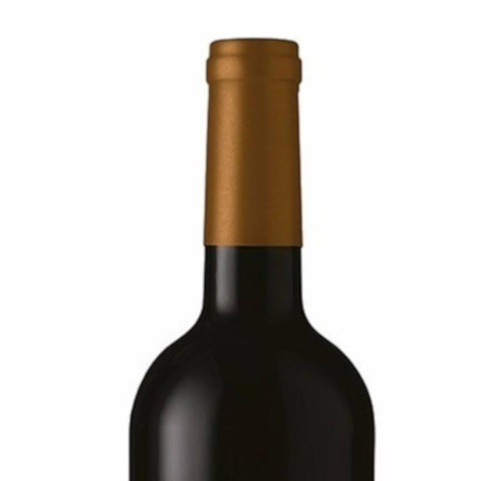 Vino Tinto Alma Mora Cabernet Sauvignon 750 ml