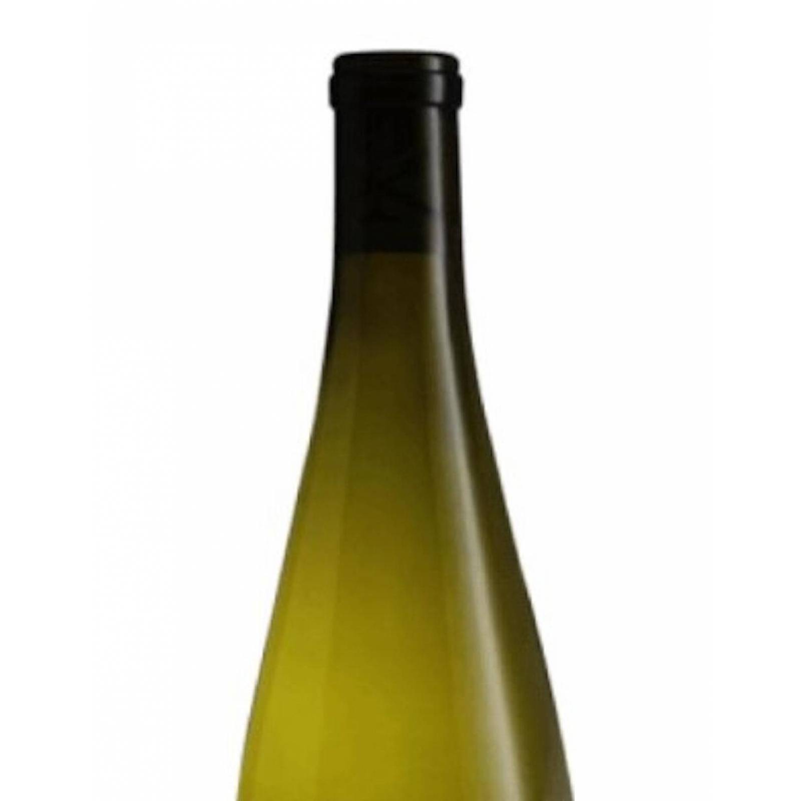 Vino Blanco Evolution Pinot Noir 750 ml