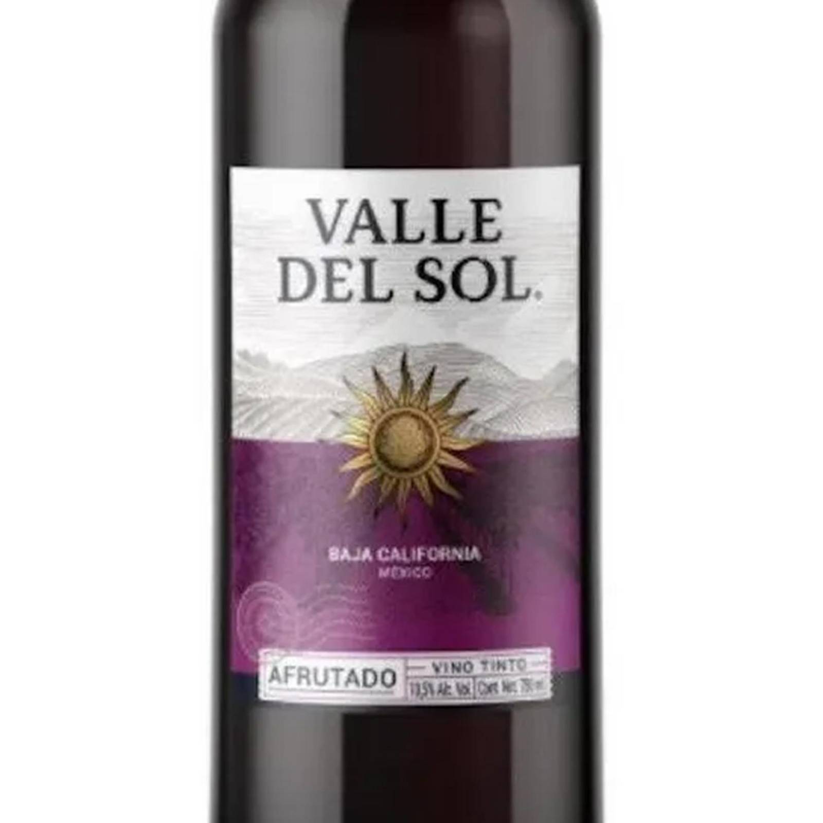 Vino Tinto Valle Del Sol Merlot Afrutado 750 ml
