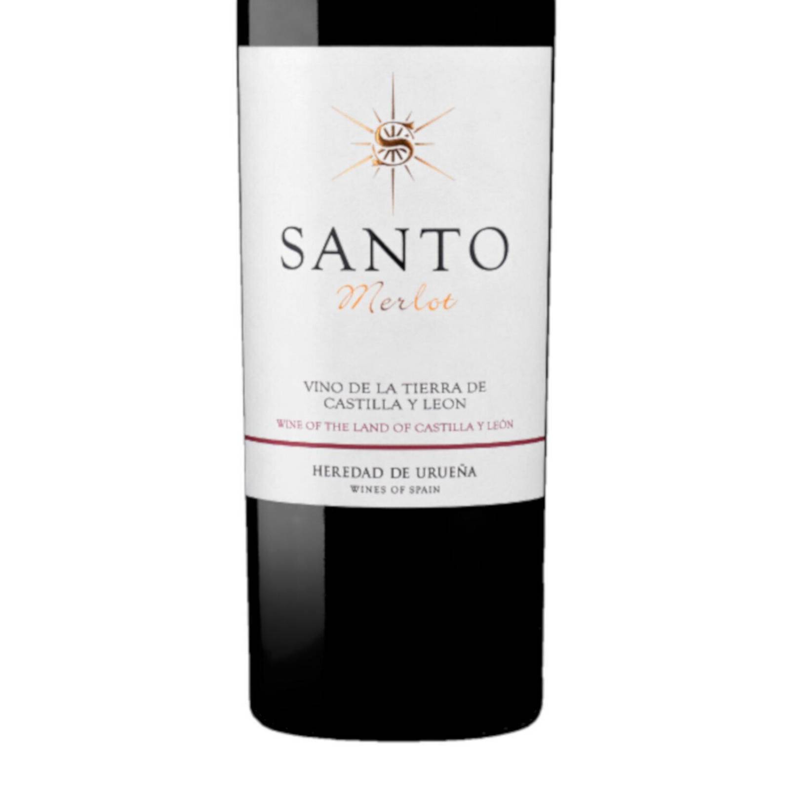 Vino Tinto Santo Tomas Merlot 750 ml 