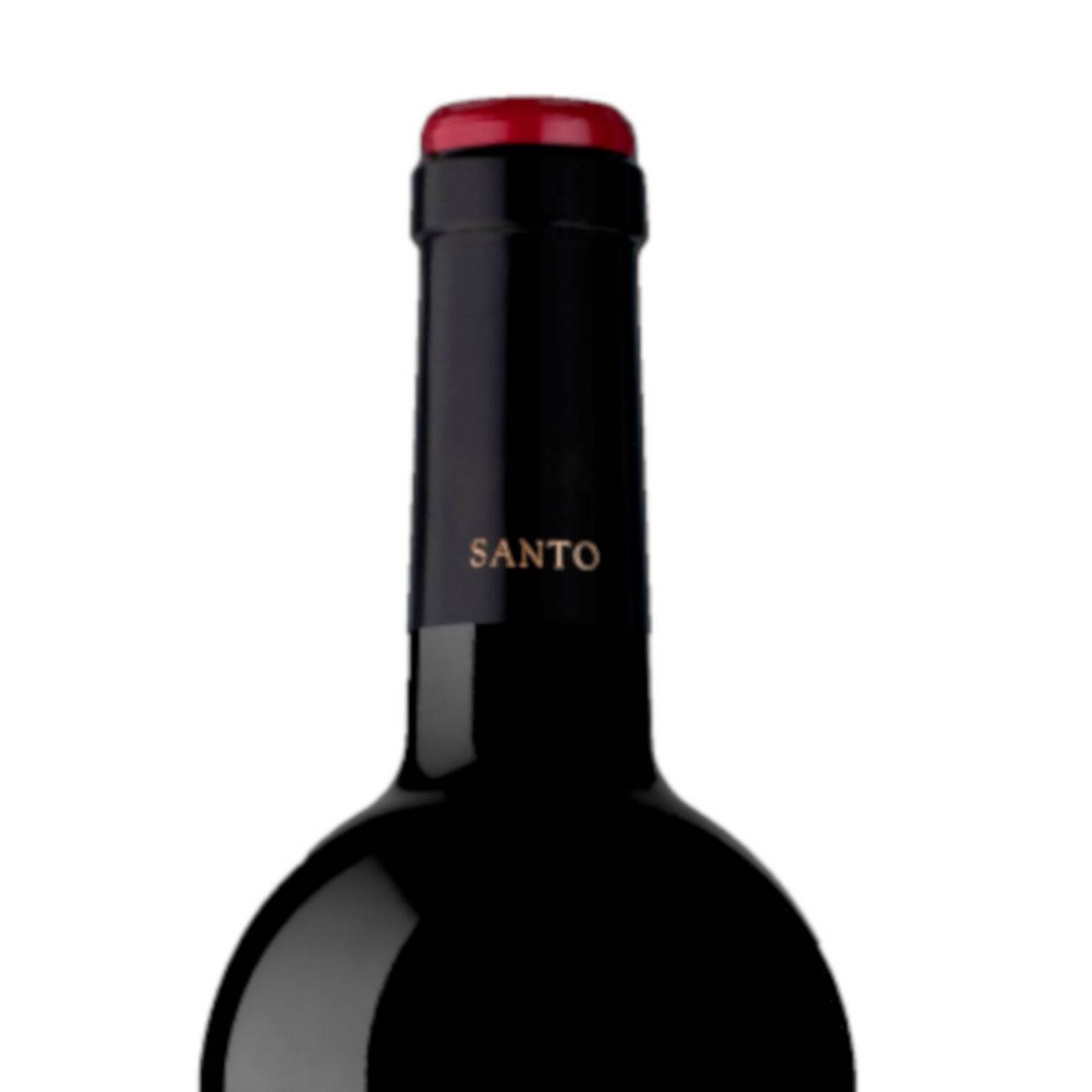 Vino Tinto Santo Tomas Merlot 750 ml 