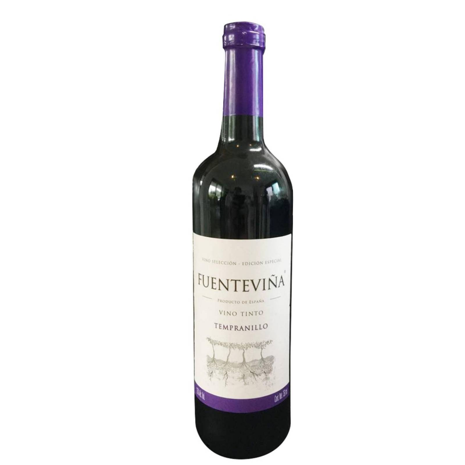 Pack de 2 Vino Tinto Fuenteviña Tempranillo 750 ml