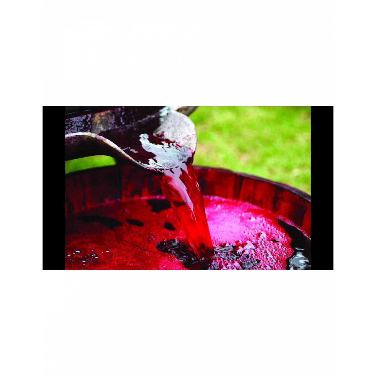 Vino Tinto Hilo Negro Zigzag 750 ml 
