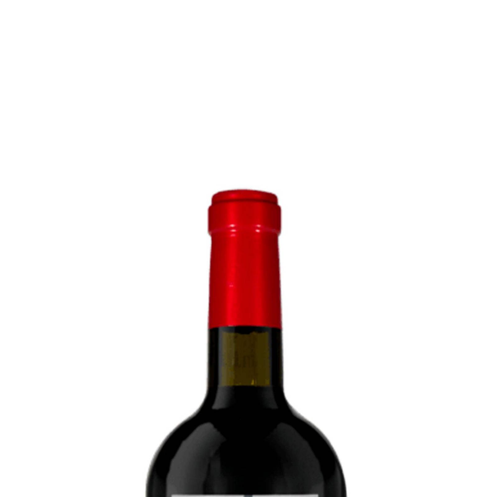 Vino Tinto Viñas de Garza 2 Km/H Tempranillo Grenache 750 ml