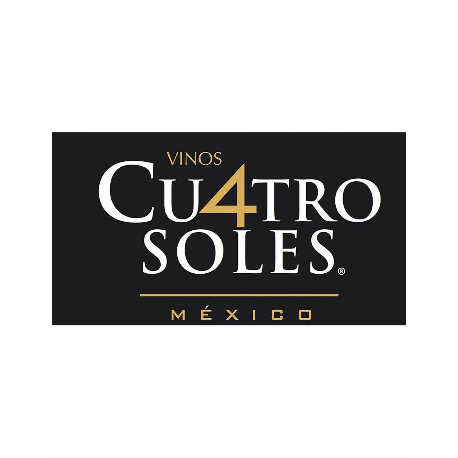 Pack de 6 Vino Tinto Cuatro Soles Afrutado 750 ml 