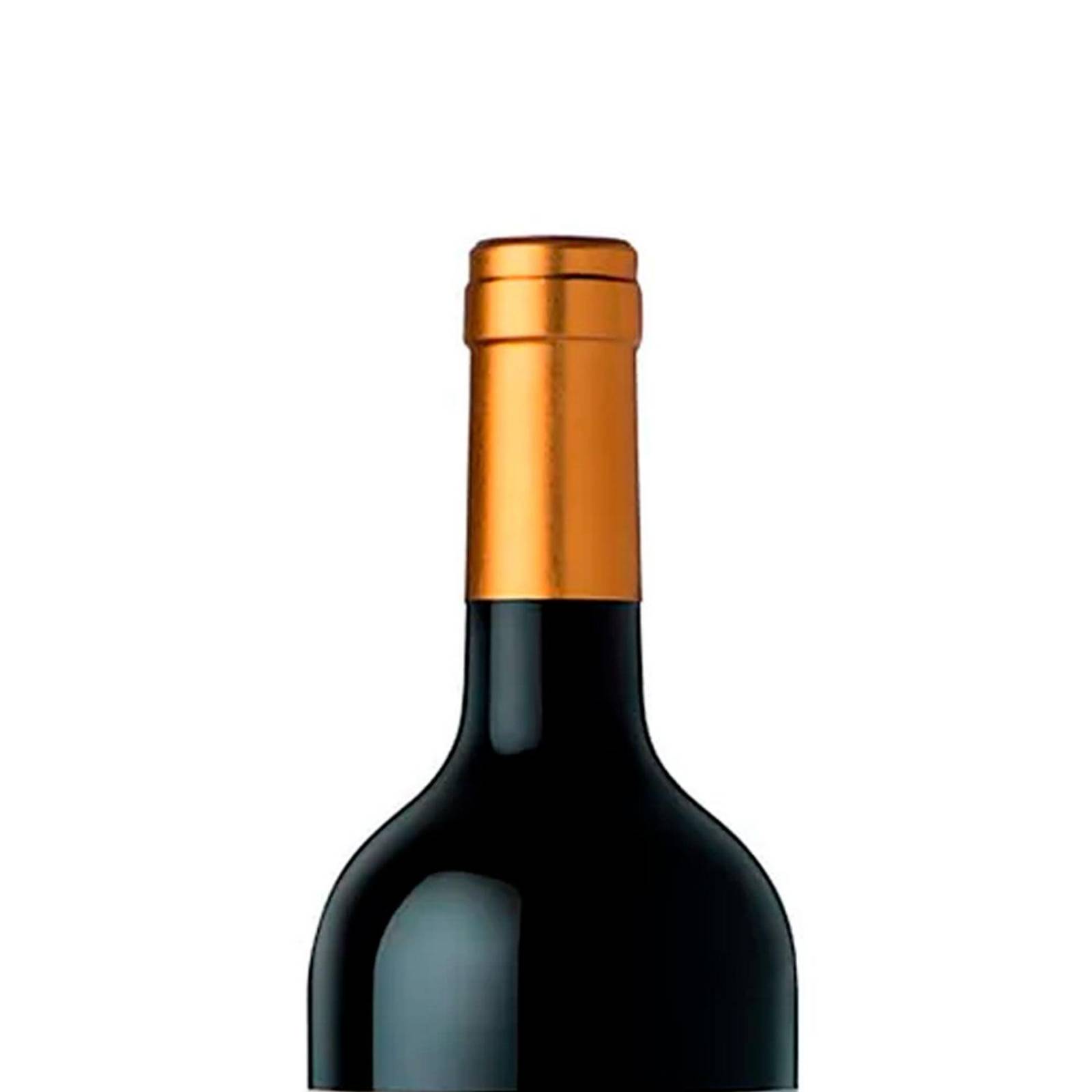 Vino Tinto Clos De Los Siete Blend 1.5 L 