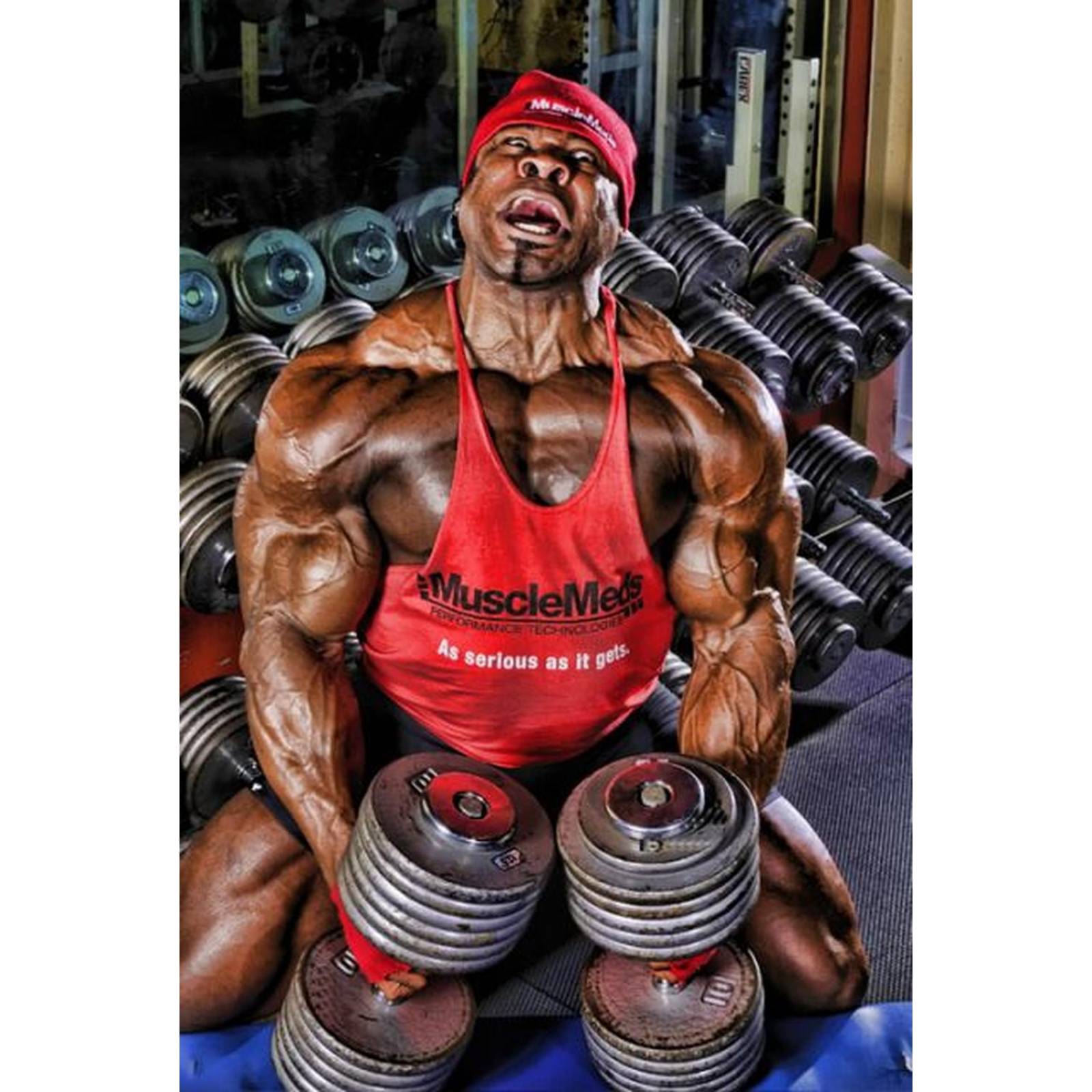 Proteína Musclemeds Carnivor 8 lb. Proteína a base carne 