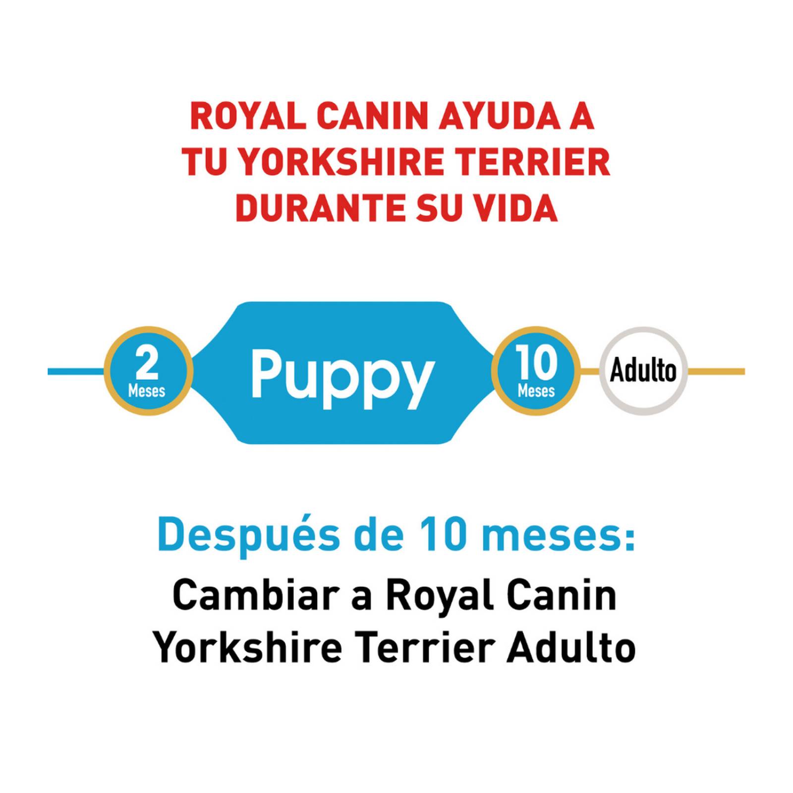 Croquetas para perro Royal Canin Yorkshire Terrier Puppy de 1.13Kg 