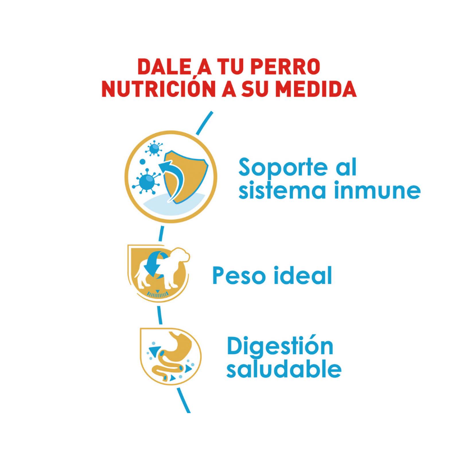 Croquetas para perro Royal Canin Miniature Schnauzer Puppy de 1.1Kg 