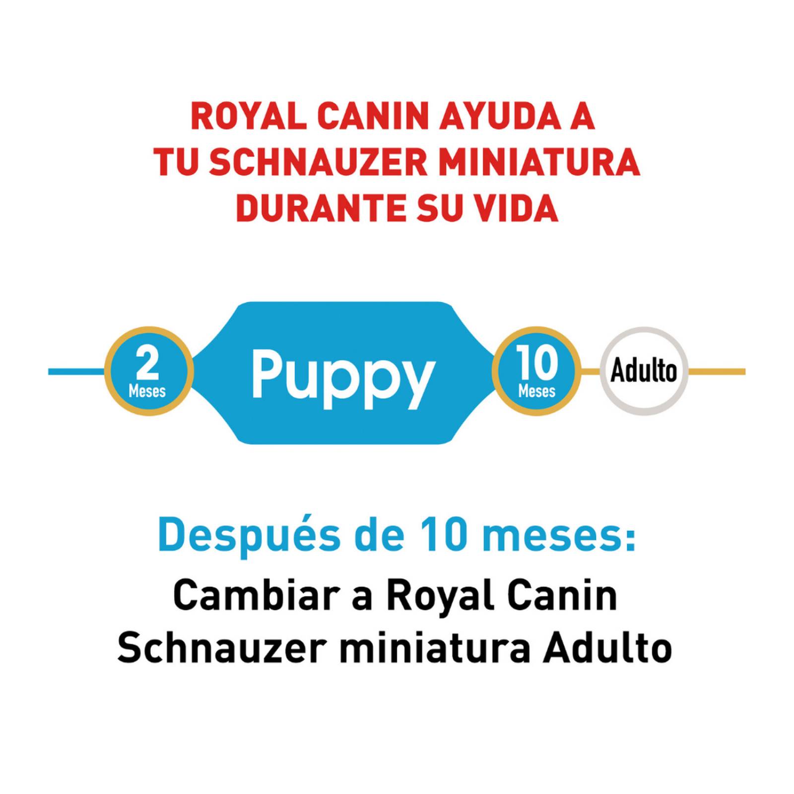 Croquetas para perro Royal Canin Miniature Schnauzer Puppy de 1.1Kg 