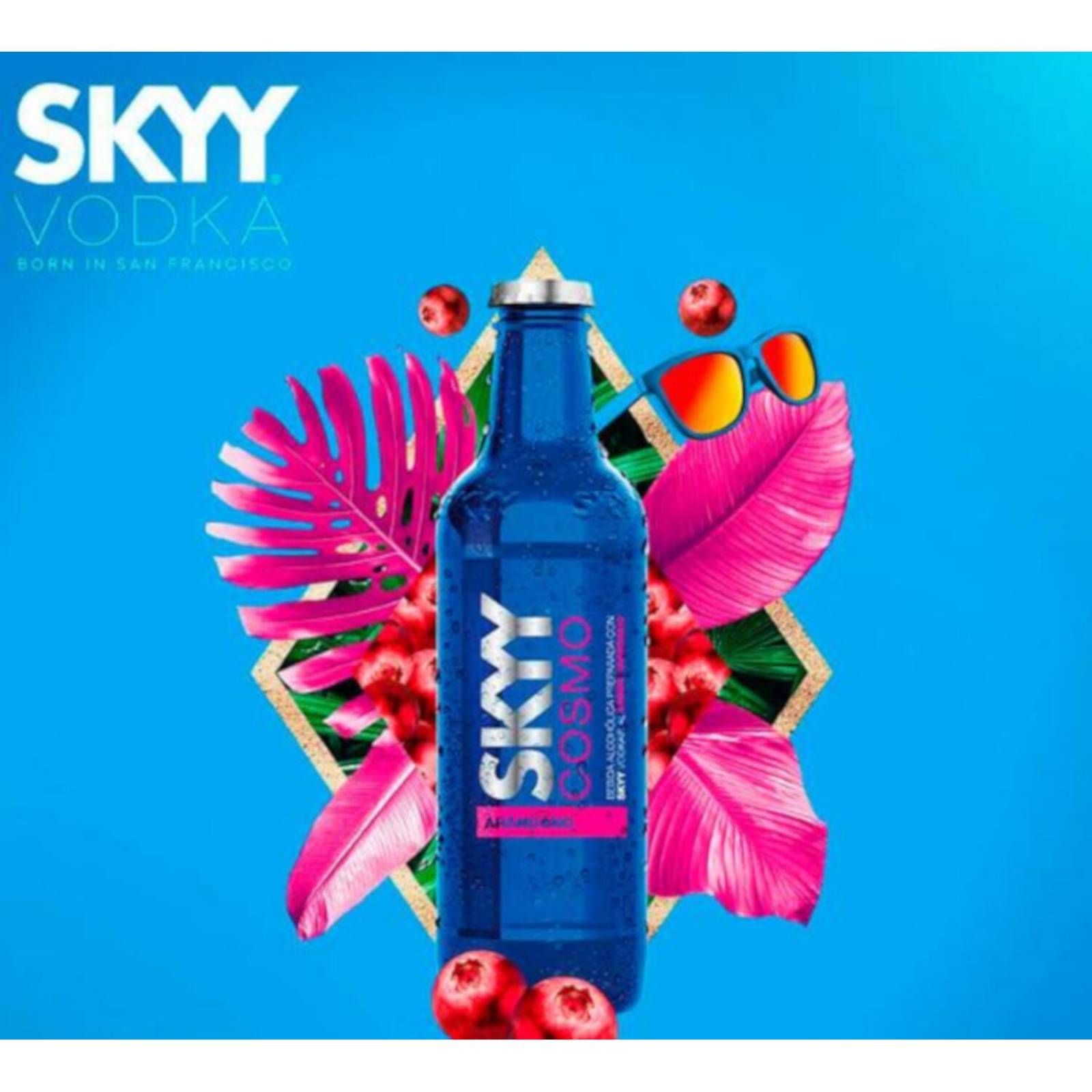 Pack de 24 Bebida Preparada Skyy Cosmo Arandano 275 ml 