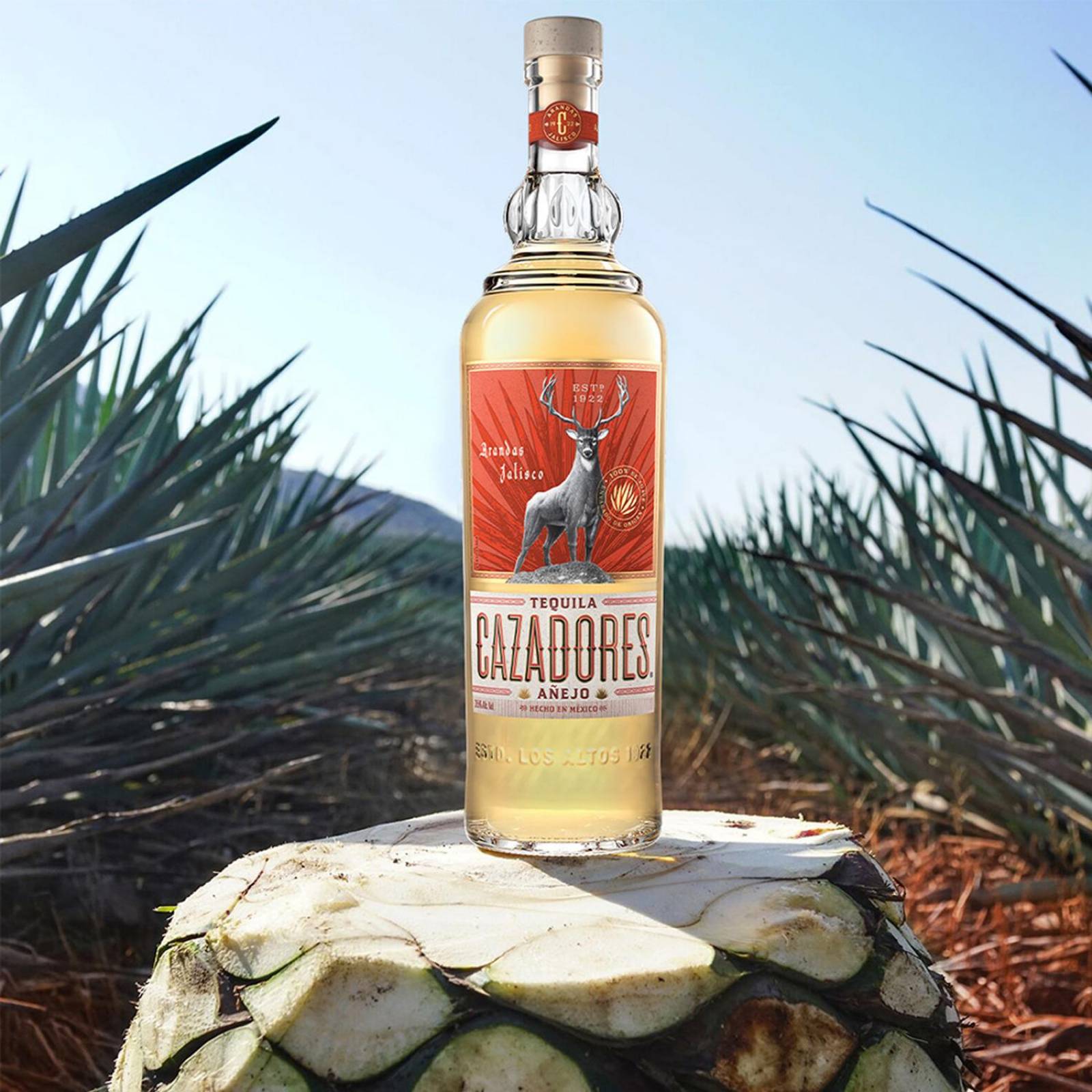 Tequila Cazadores Añejo 700 ml 