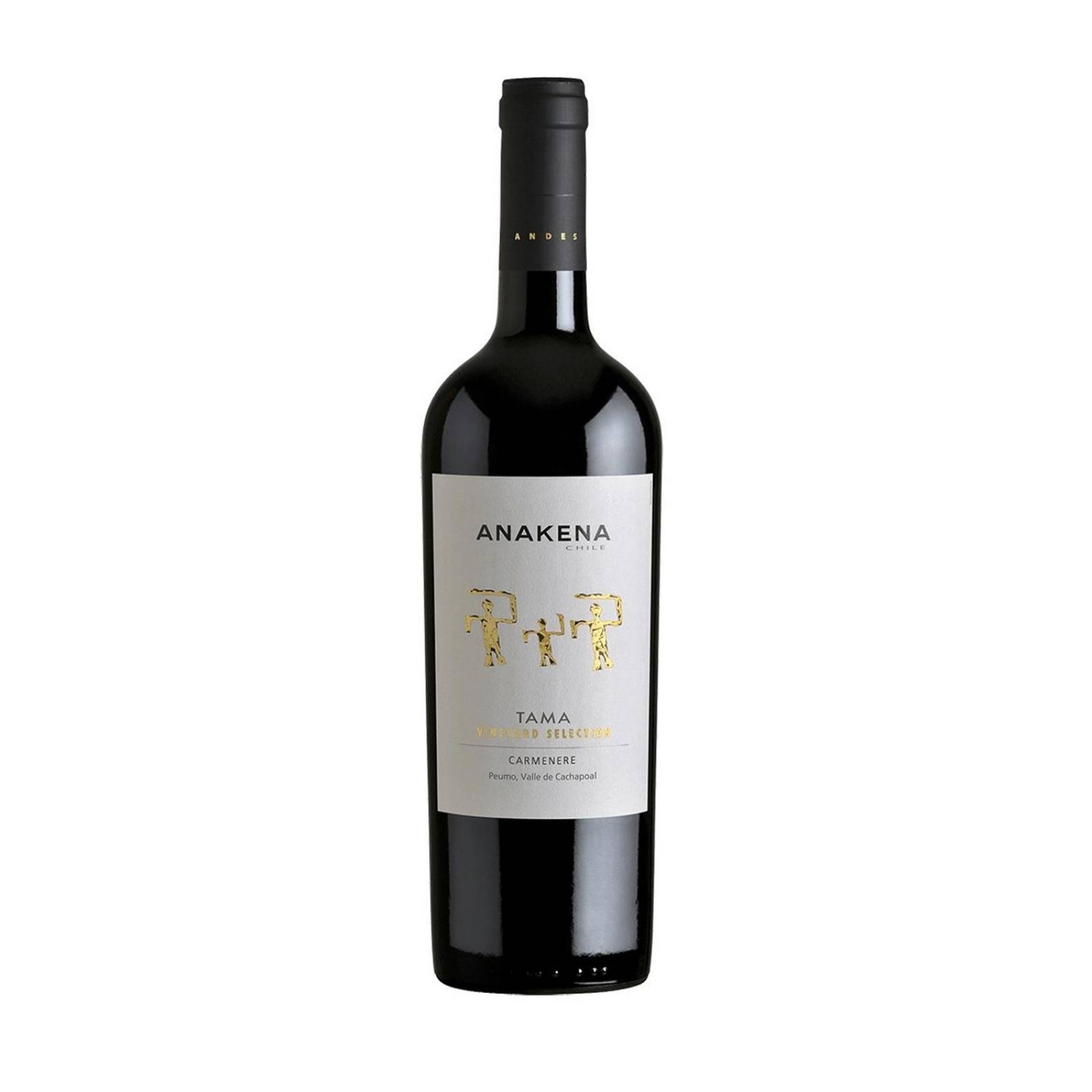 Vino Tinto Anakena Tama Carmenere 750 ml 