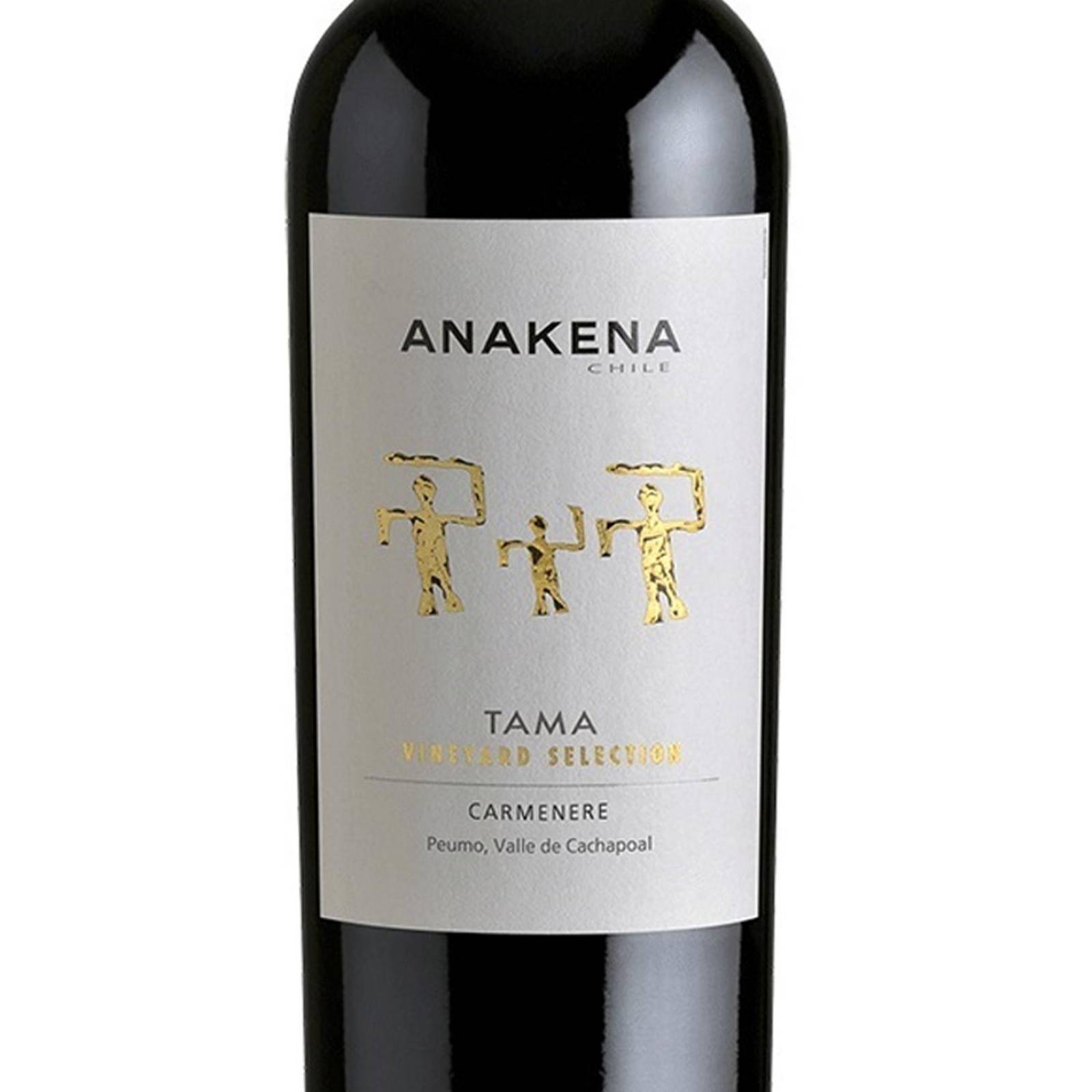 Vino Tinto Anakena Tama Carmenere 750 ml 