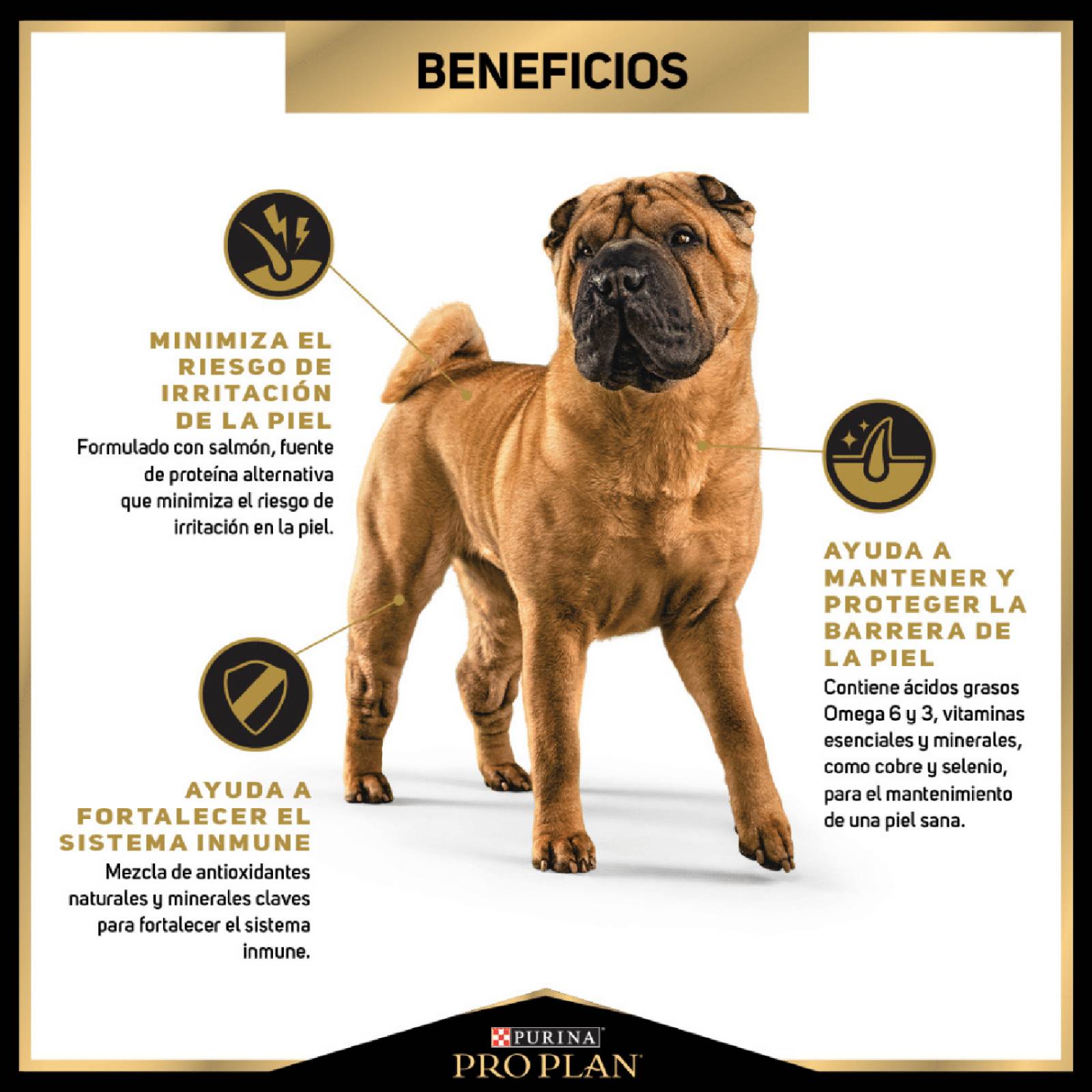 Croquetas para perro ProPlan Adulto Piel Sensible Razas Grandes Y Medianas de 3Kg