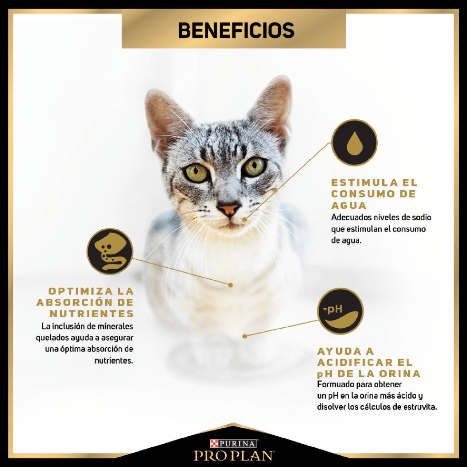 Croquetas para Gato ProPlan Urinary de 3Kg