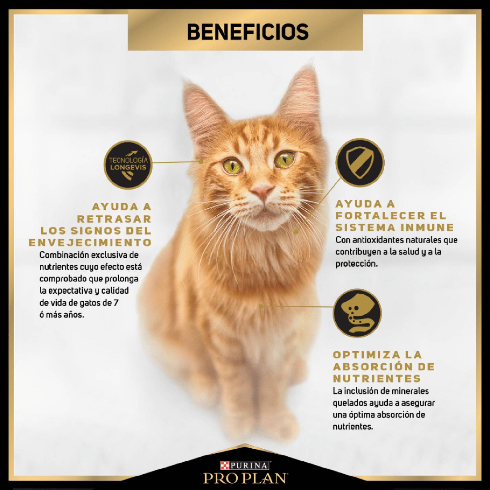 Croquetas para Gato ProPlan Adulto 7+ de 3Kg