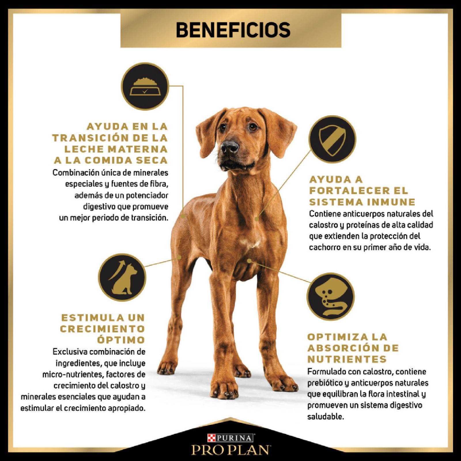 Croquetas para perro Proplan Cachorro Razas Grandes de 3.5Kg