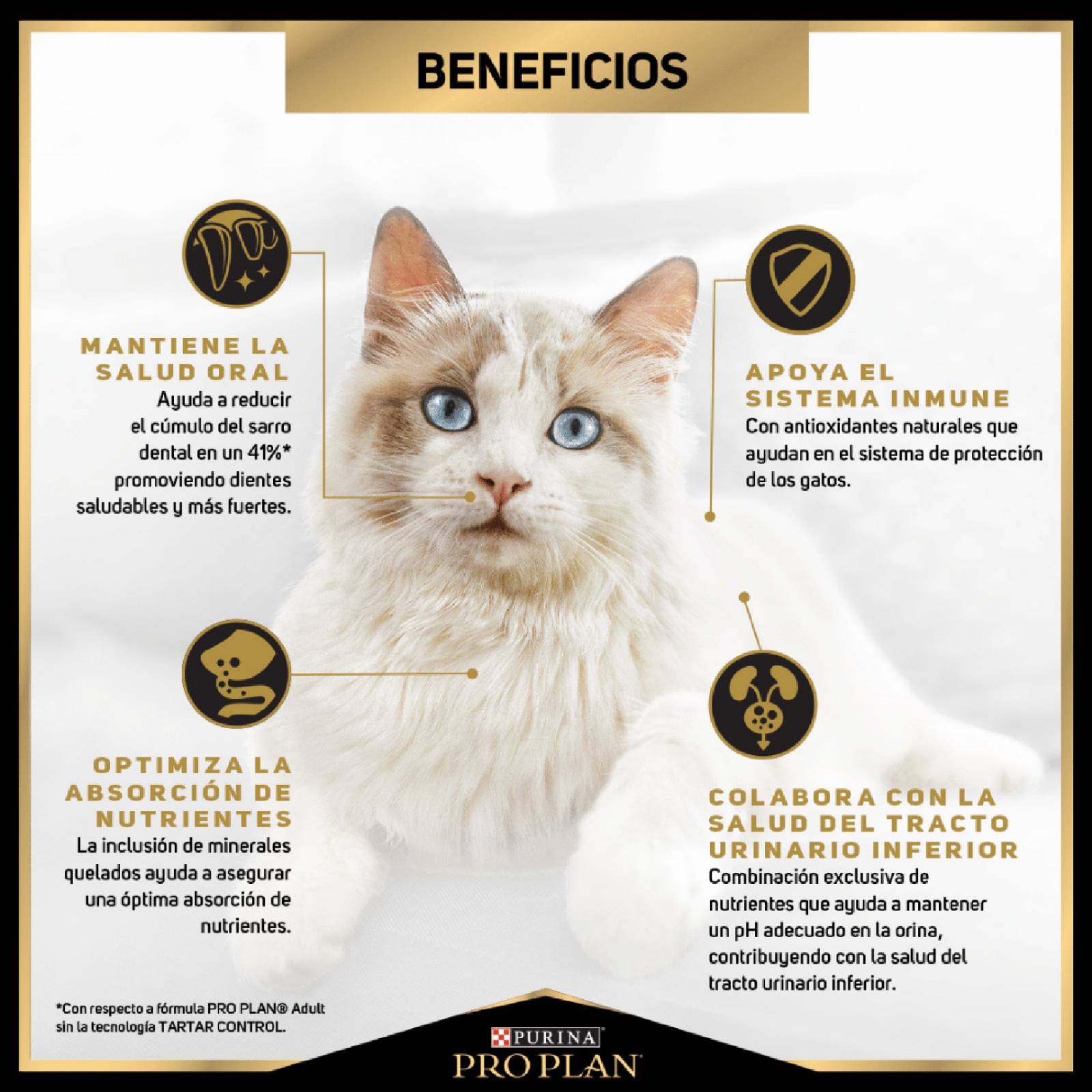 Croquetas para Gato ProPlan Adulto de 3Kg 