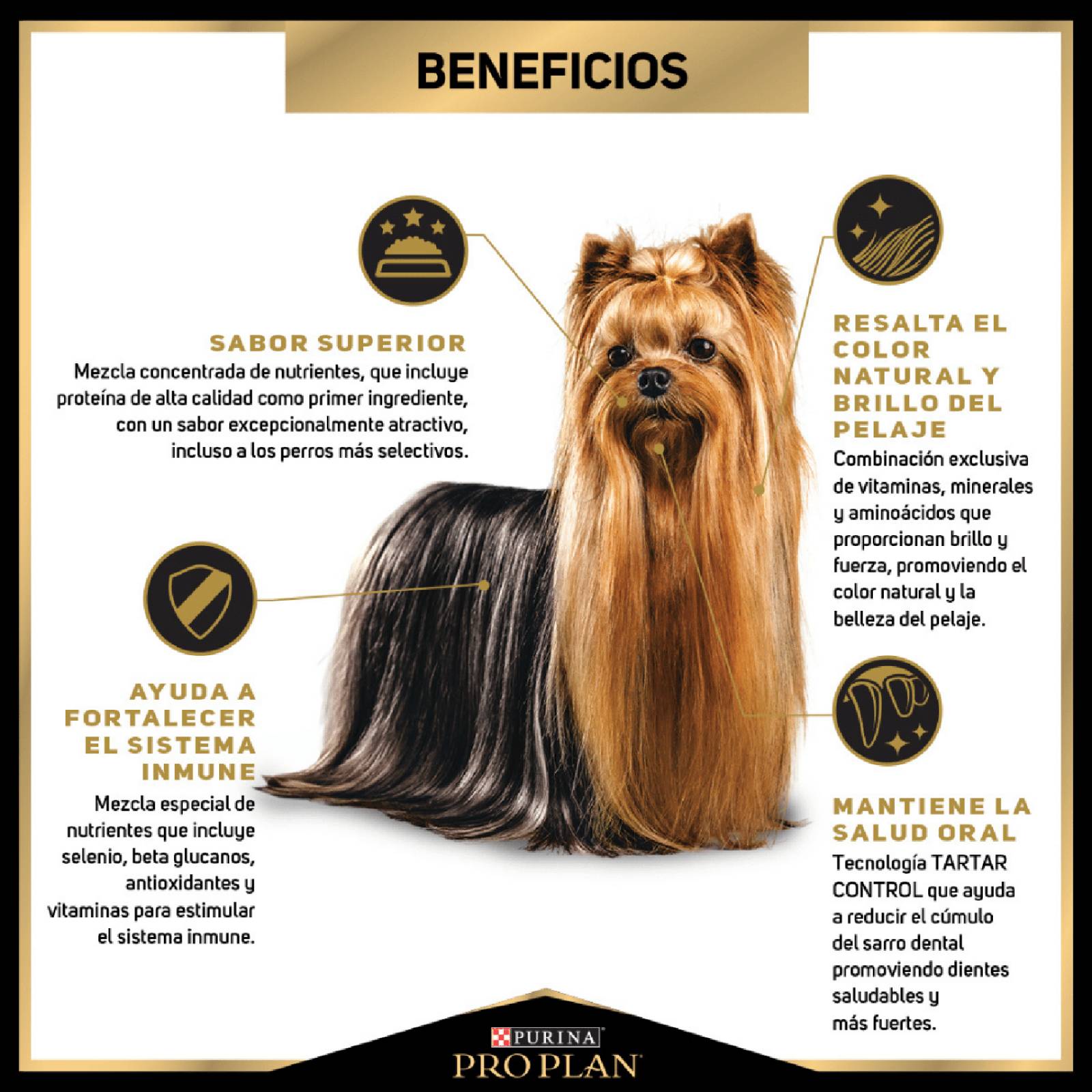 Croquetas para perro ProPlan Exigente de 1Kg 