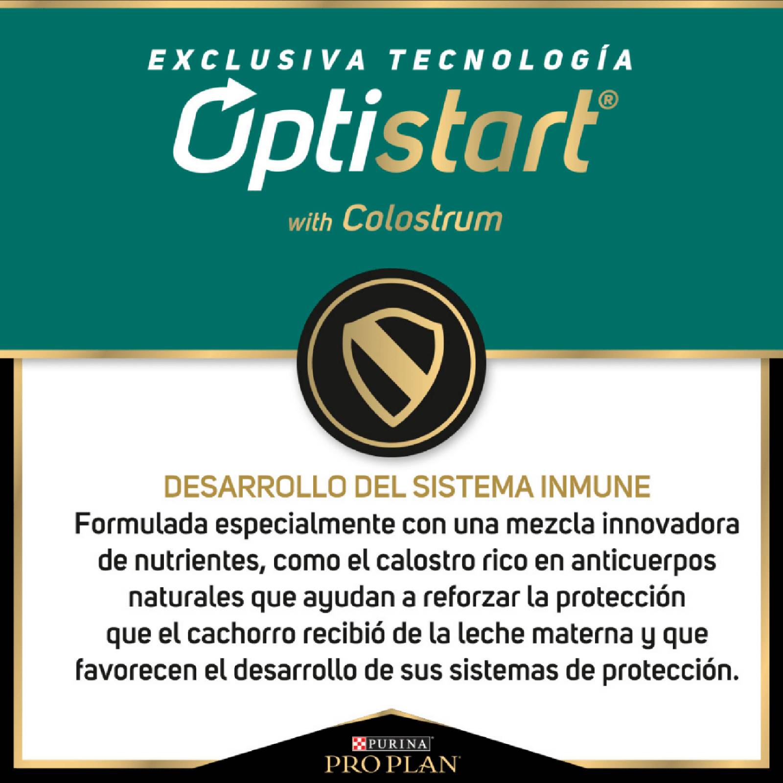 Croquetas para perro ProPlan Cachorro Complete de 1Kg 