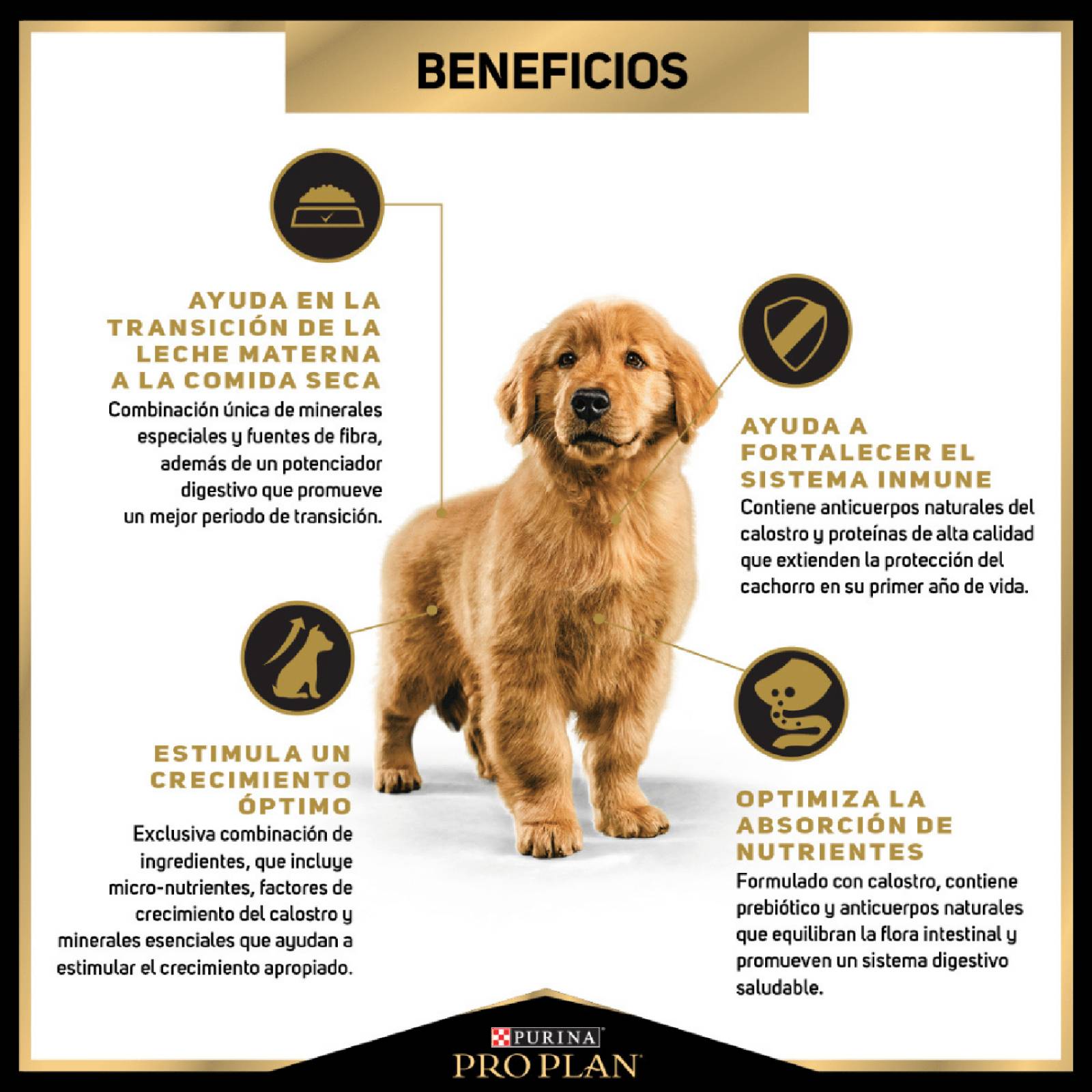 Croquetas para perro ProPlan Cachorro Complete de 1Kg 