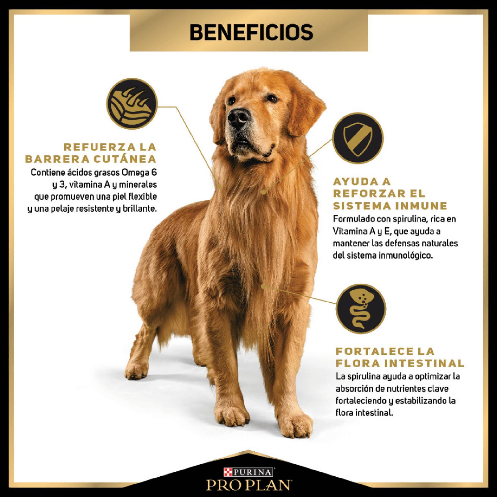 Croquetas para perro ProPlan Adulto Razas Medianas de 3Kg 
