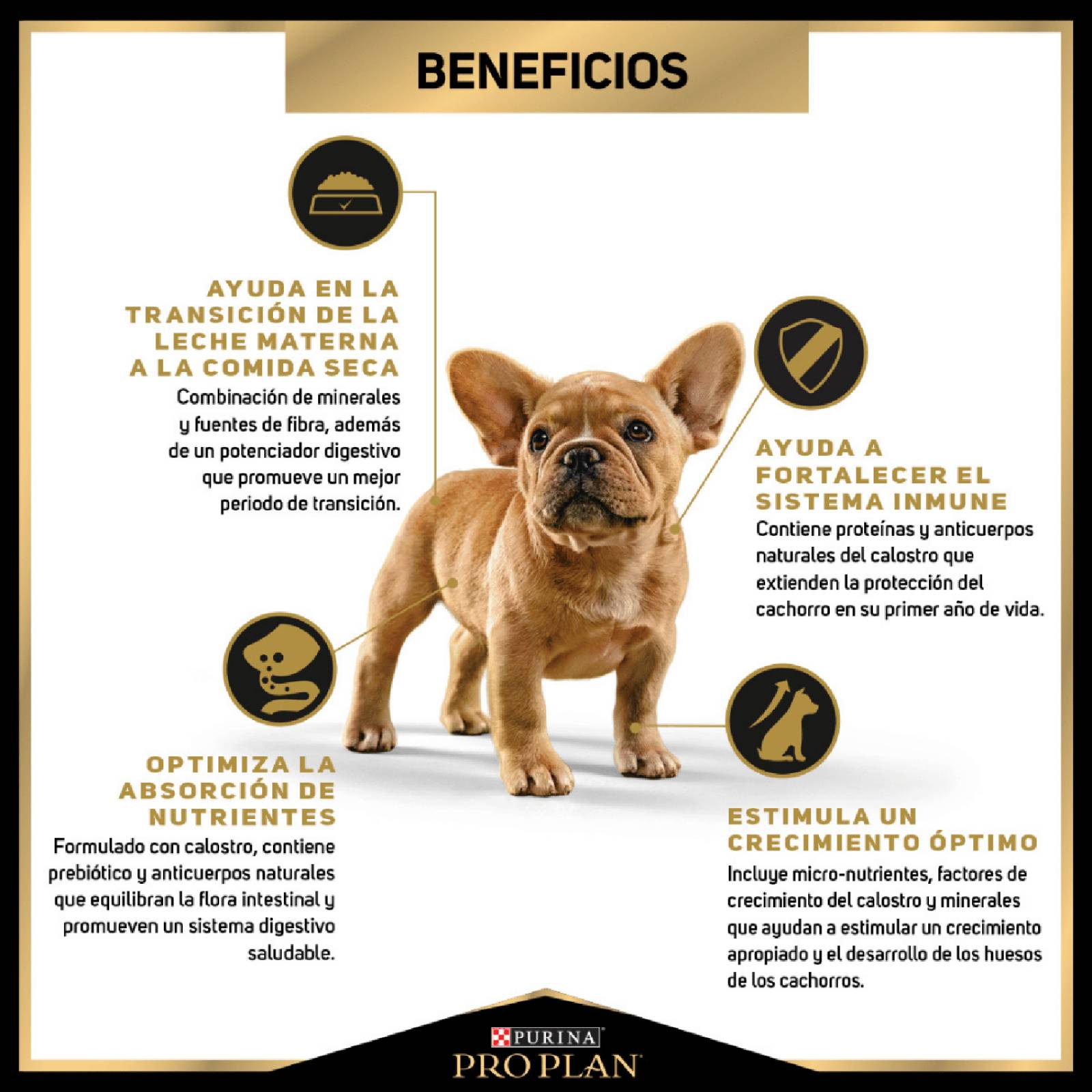 Croquetas para perro ProPlan Cachorro Razas Pequeñas de 7.5Kg 