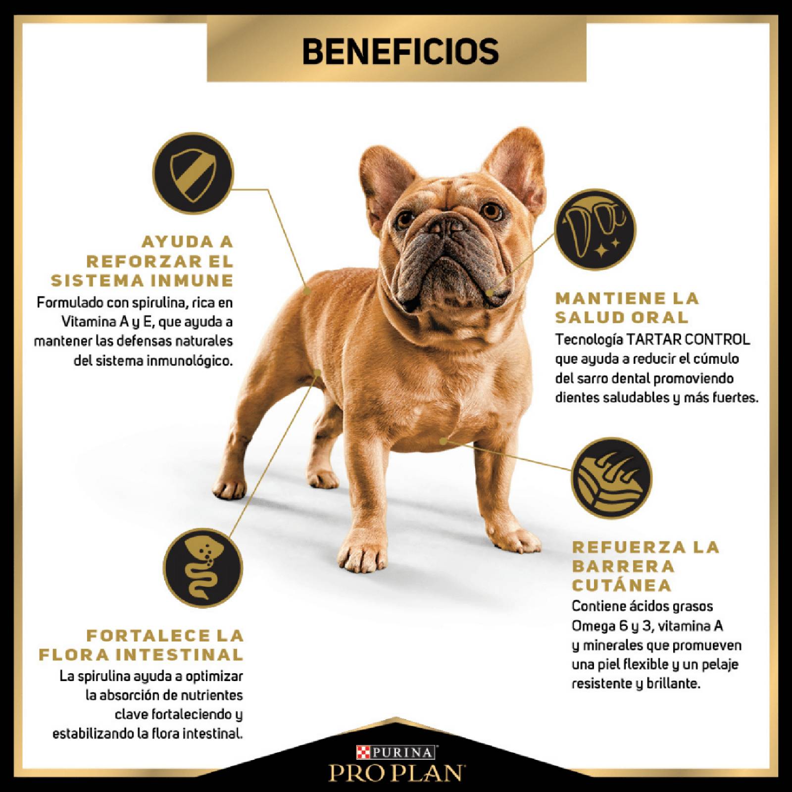 Croquetas para perro ProPlan Adulto Razas Pequeñas de 1Kg 