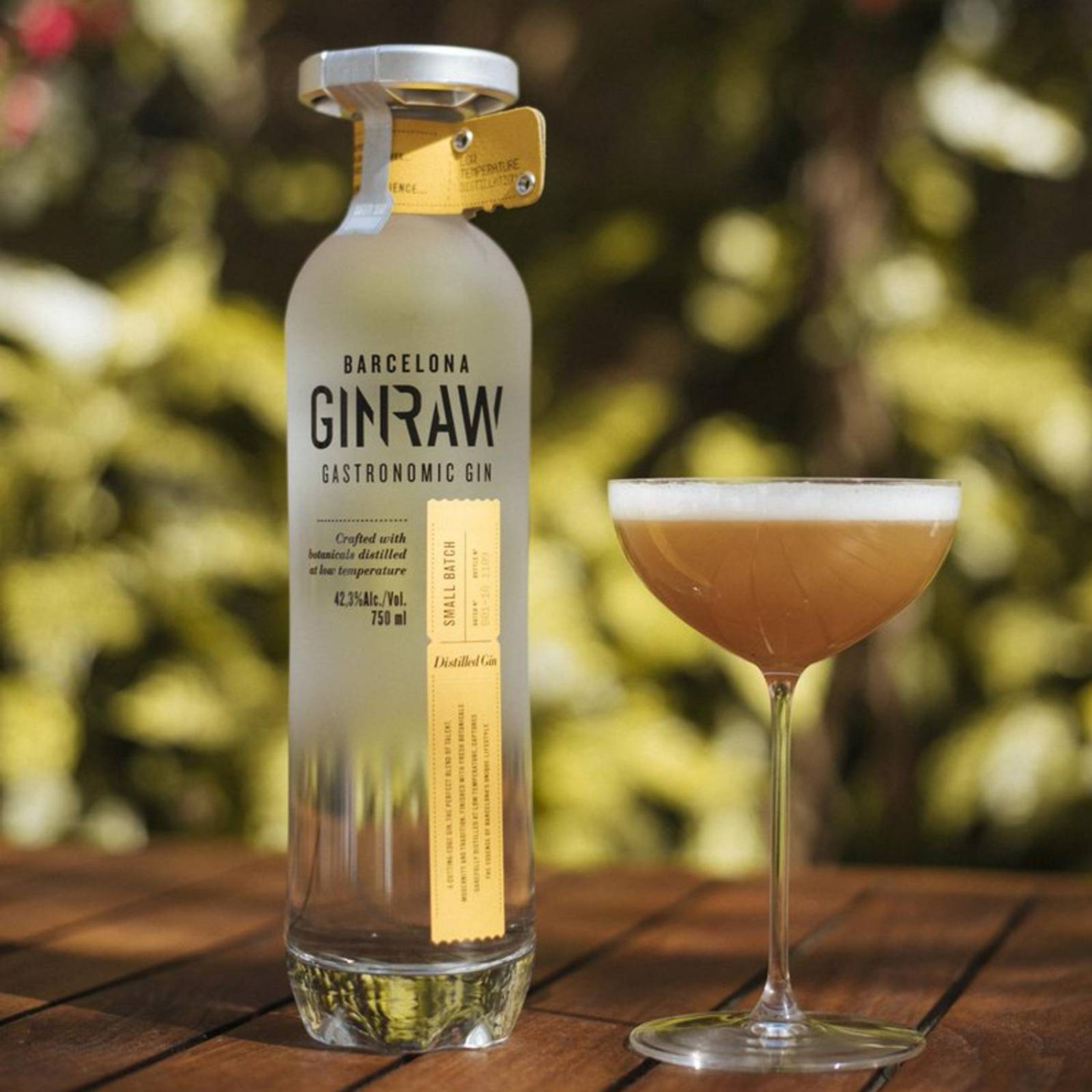 Ginebra Ginraw Gastronomic Gin 750 ml 