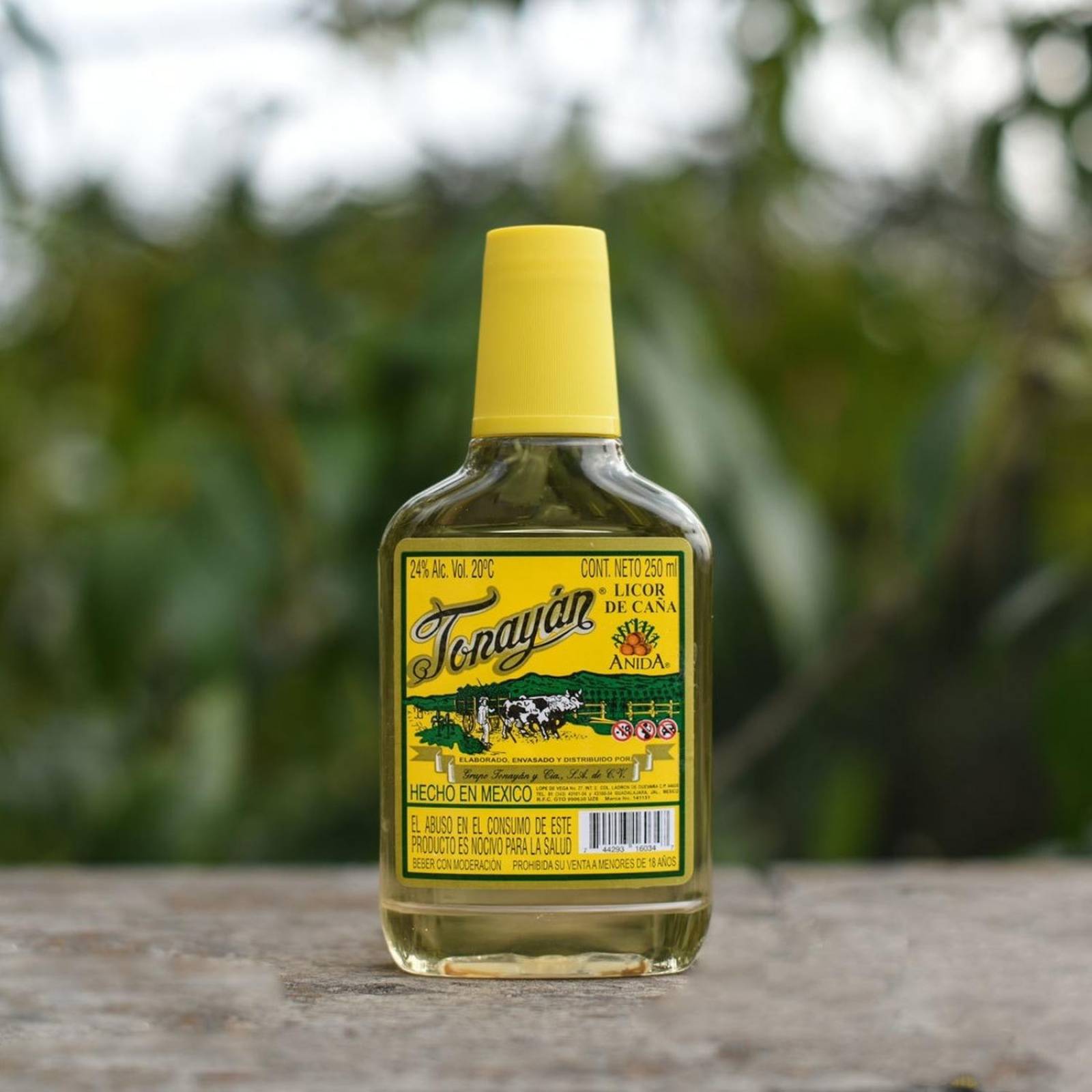 Licor De Caña Tonayan Pet Amarillo 250 ml