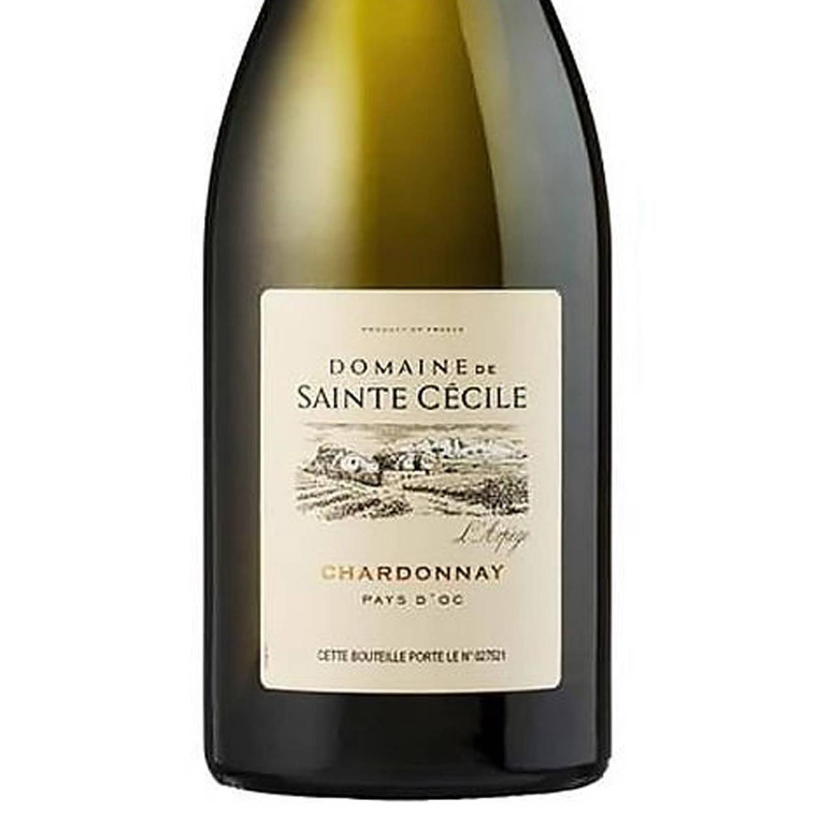 Vino Blanco Santa Cecilia Chardonnay 750 ml 