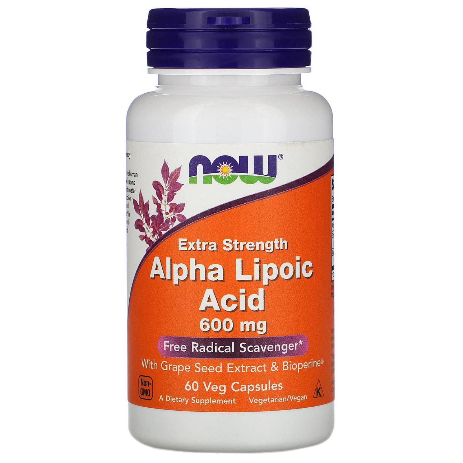 Ácido Alfa Lipoico 600mg Now Alpha Lipoic Acid 60 Cápsulas 
