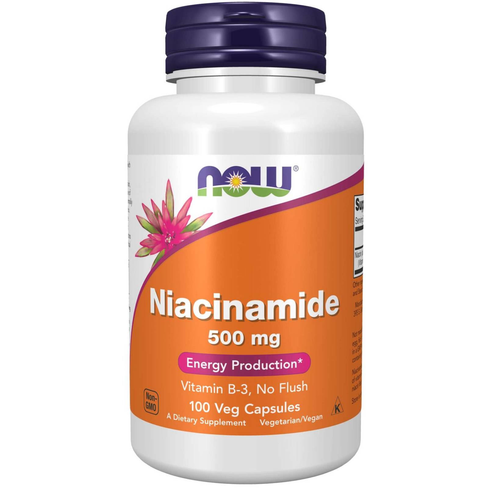 Vitamina B3 Now Niacina 500 Mg 100 Cápsulas 
