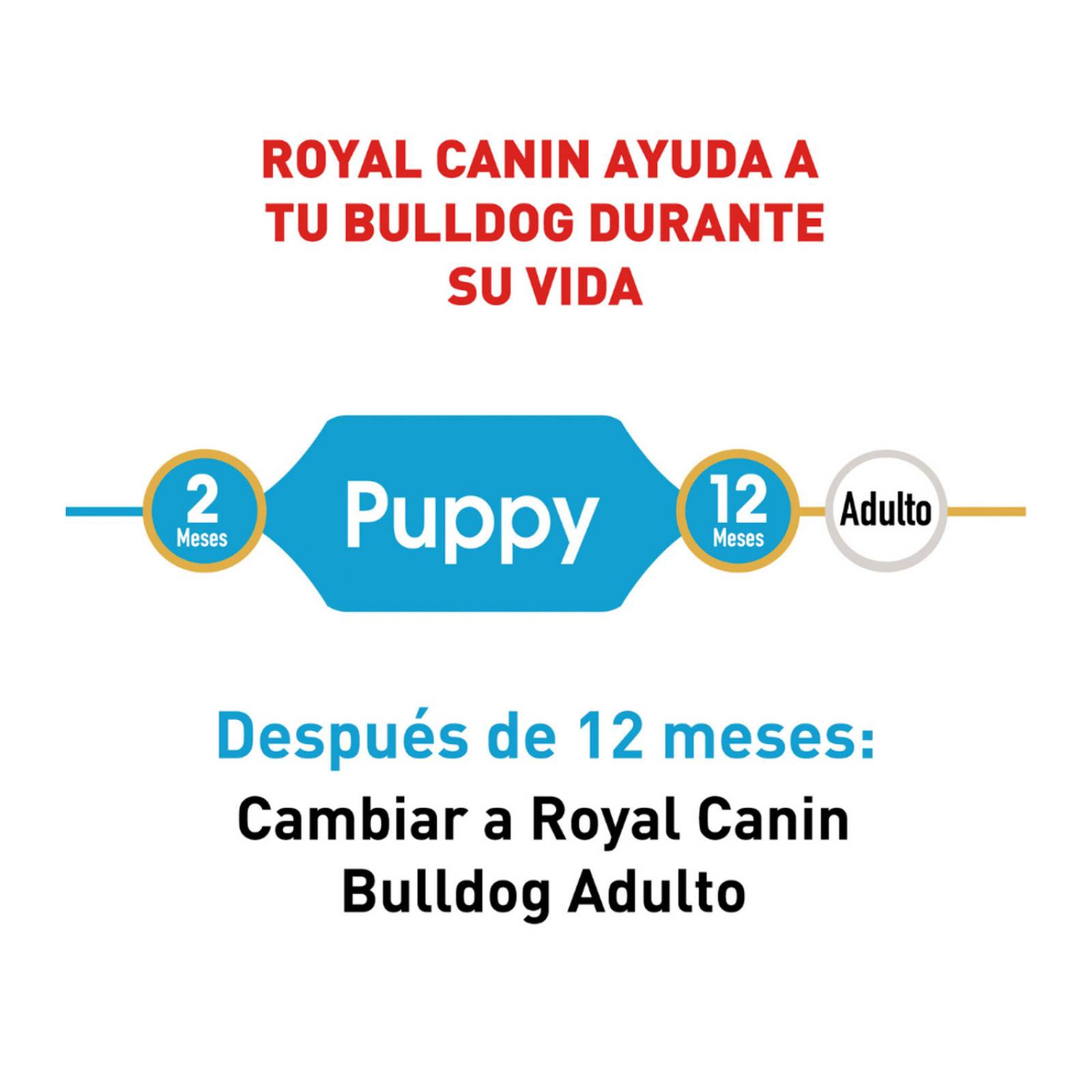 Croquetas para perro Royal Canin Bulldog Puppy de 13.6Kg 