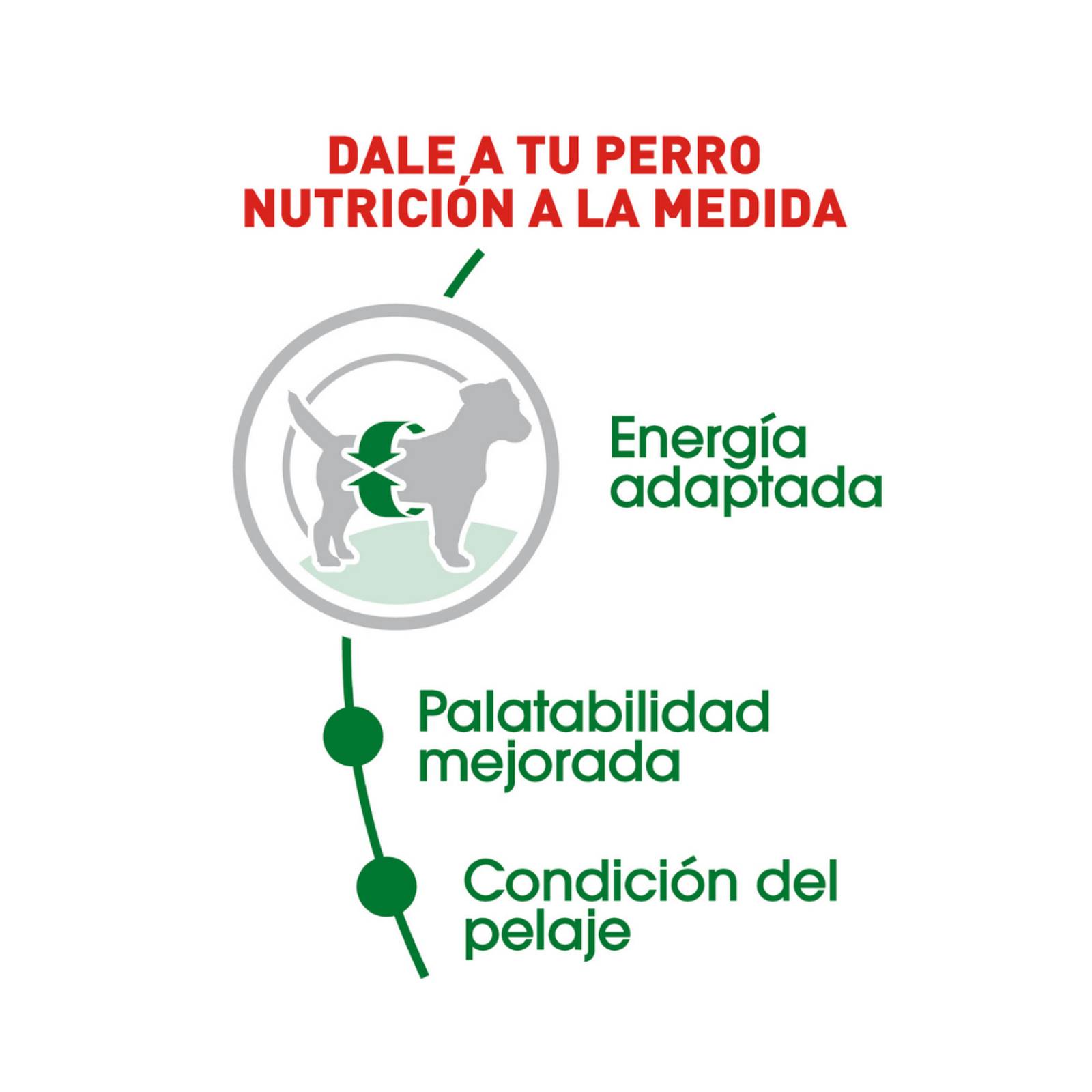 Croquetas para perro Royal Canin Small Adult 6.3Kg 