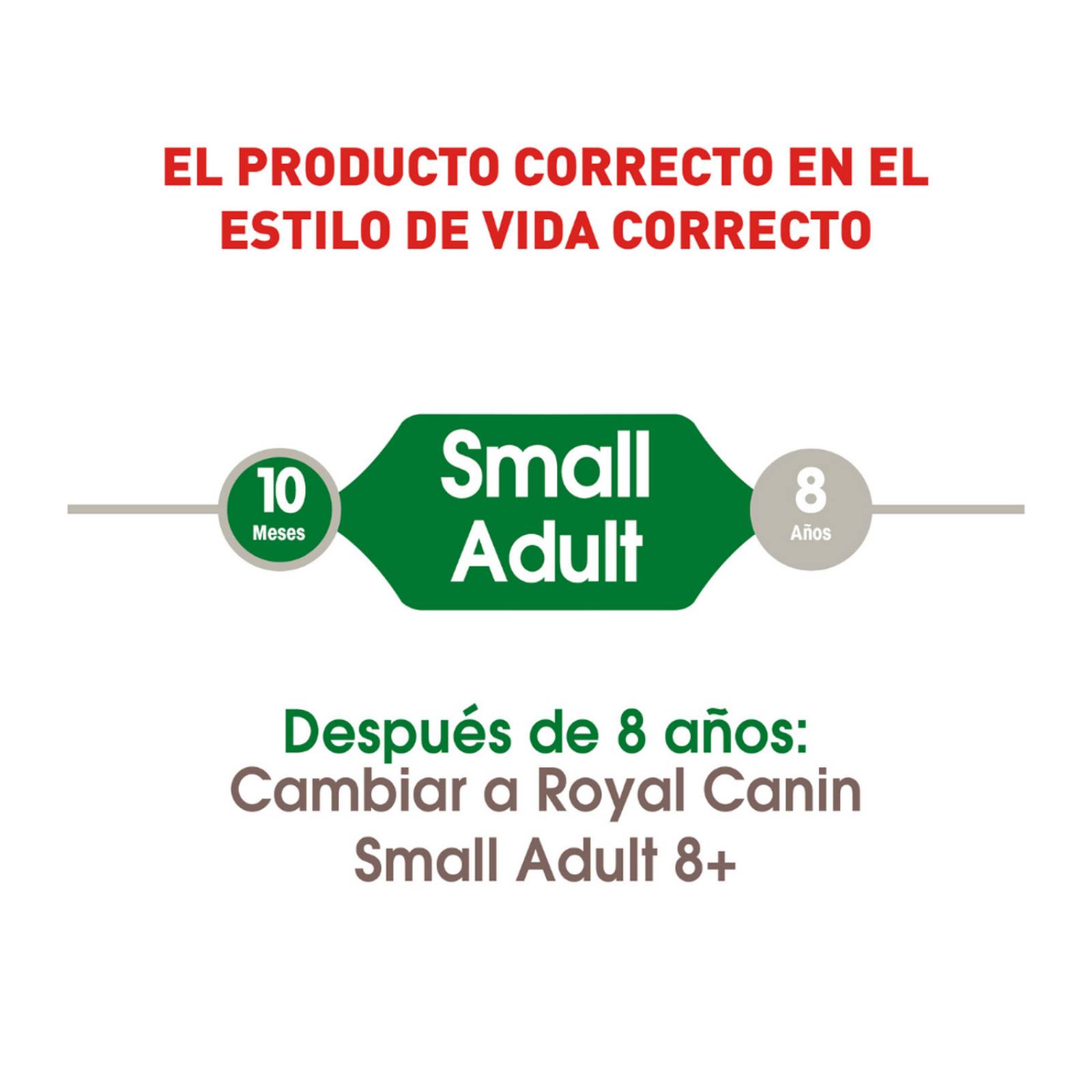 Croquetas para perro Royal Canin Small Adult 6.3Kg 